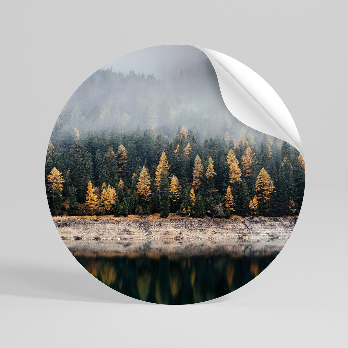 GOLDEN TREES IN FOG Αυτοκόλλητη Αφίσα στρογγυλή