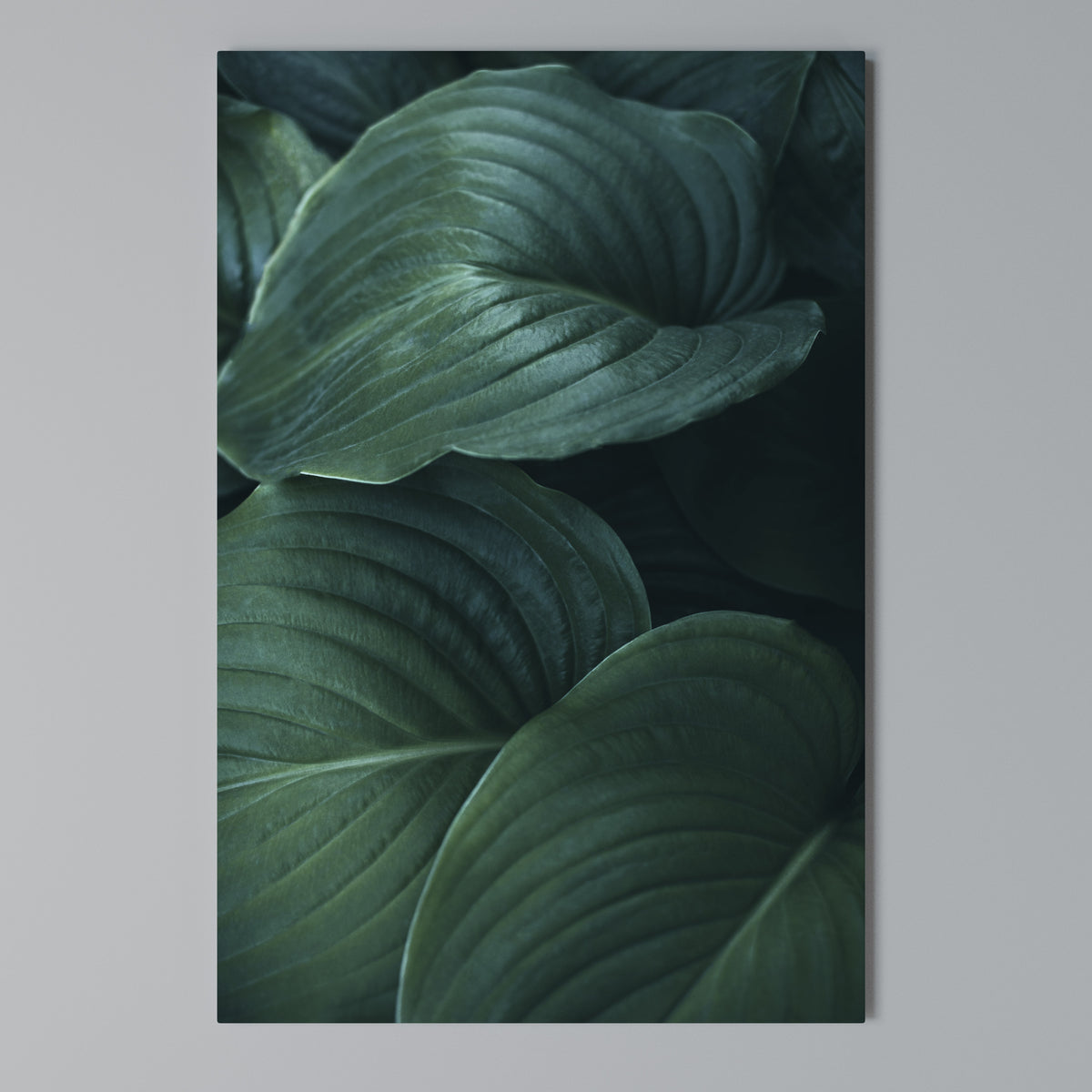 SUBTLE BOTANICAL HUES Κατακόρυφος Πίνακας σε Καμβά