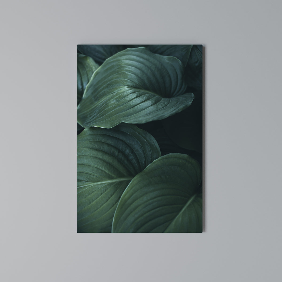 SUBTLE BOTANICAL HUES Κατακόρυφος Πίνακας σε Καμβά