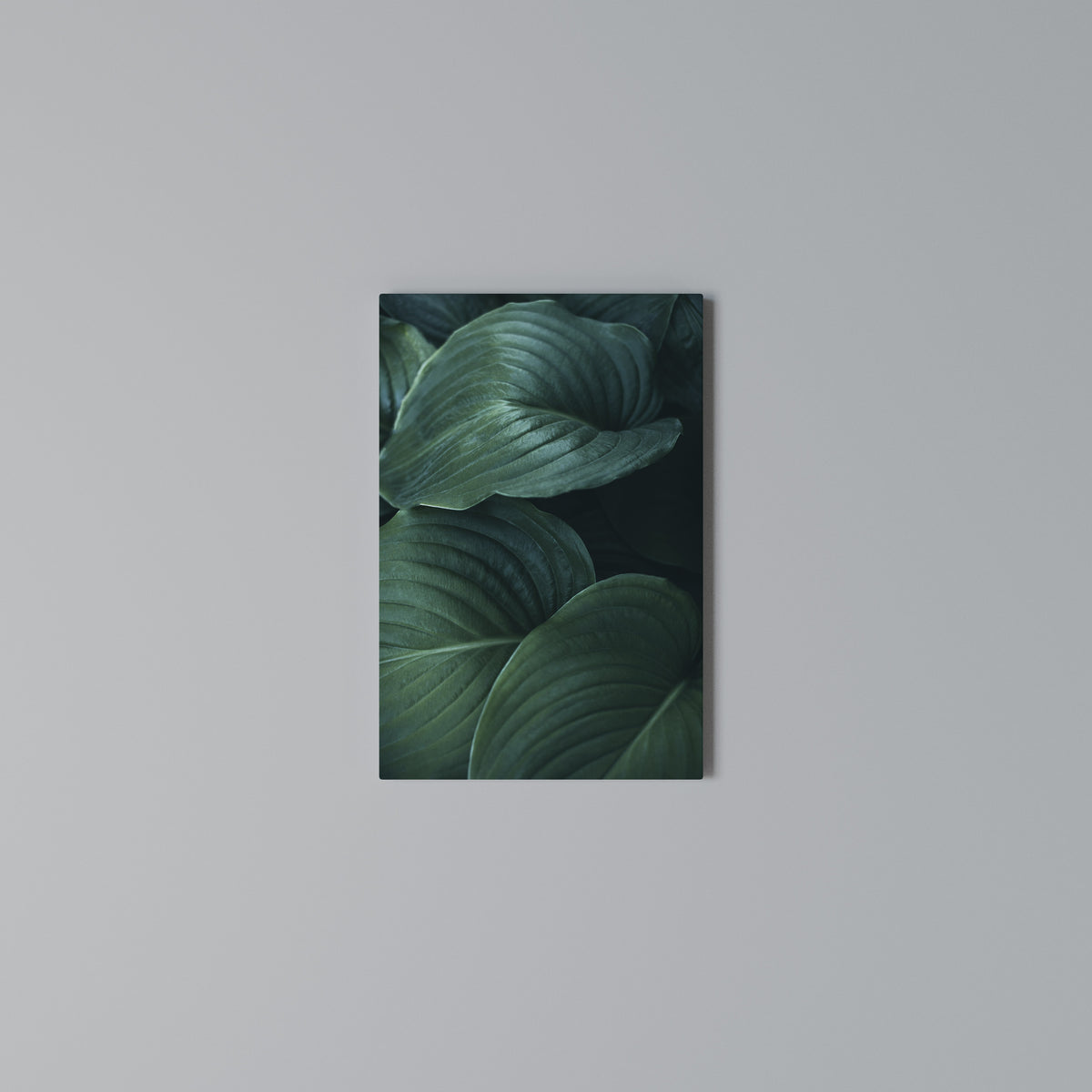 SUBTLE BOTANICAL HUES Κατακόρυφος Πίνακας σε Καμβά