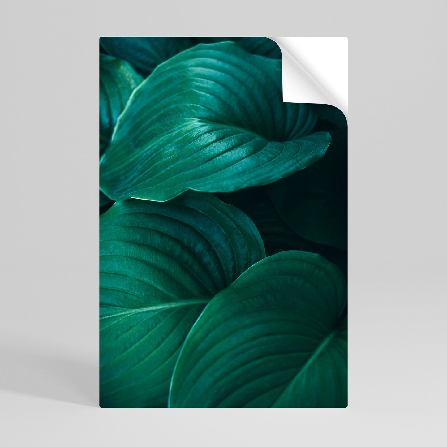 SUBTLE BOTANICAL HUES Αυτοκόλλητη Αφίσα κάθετη