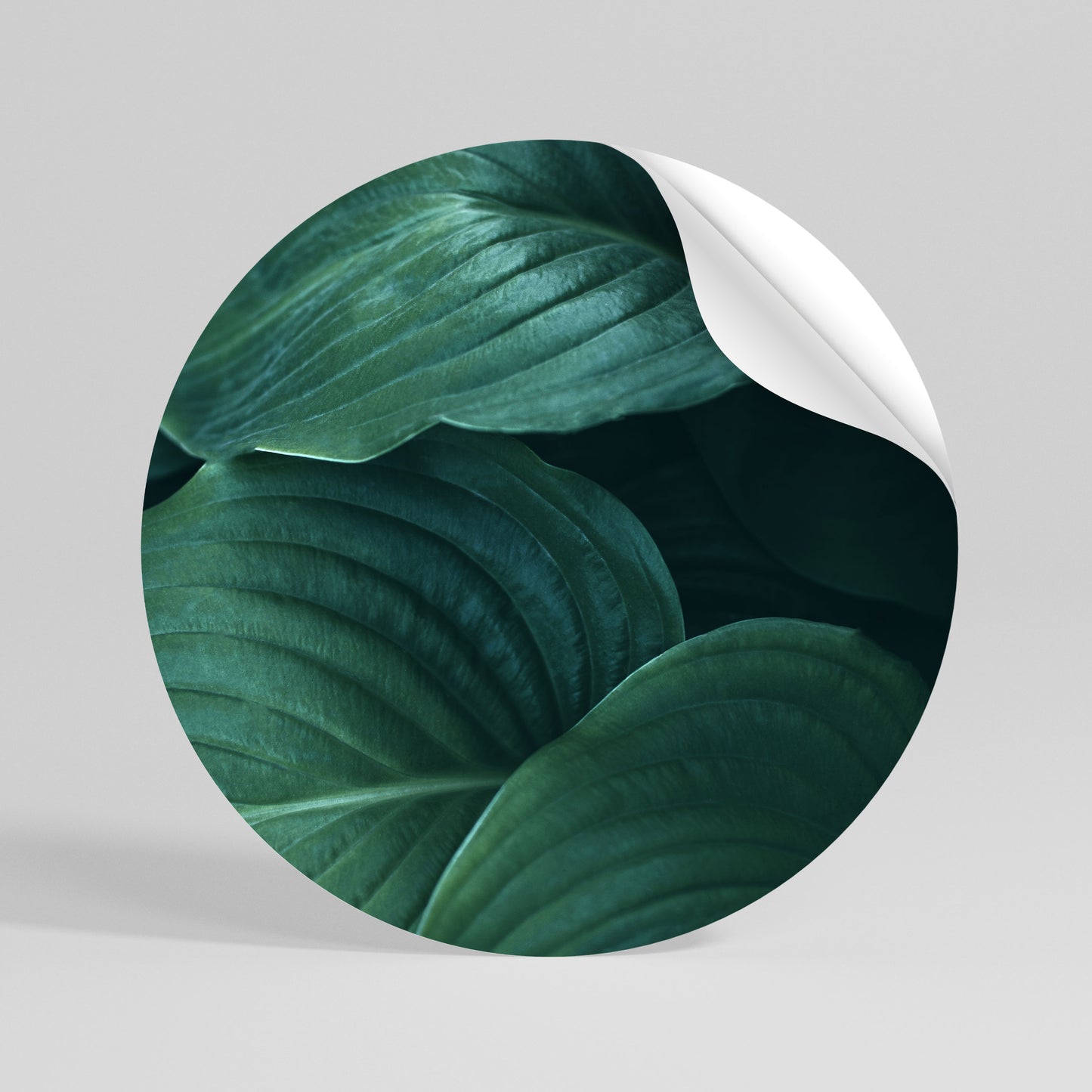 SUBTLE BOTANICAL HUES Αυτοκόλλητη Αφίσα στρογγυλή