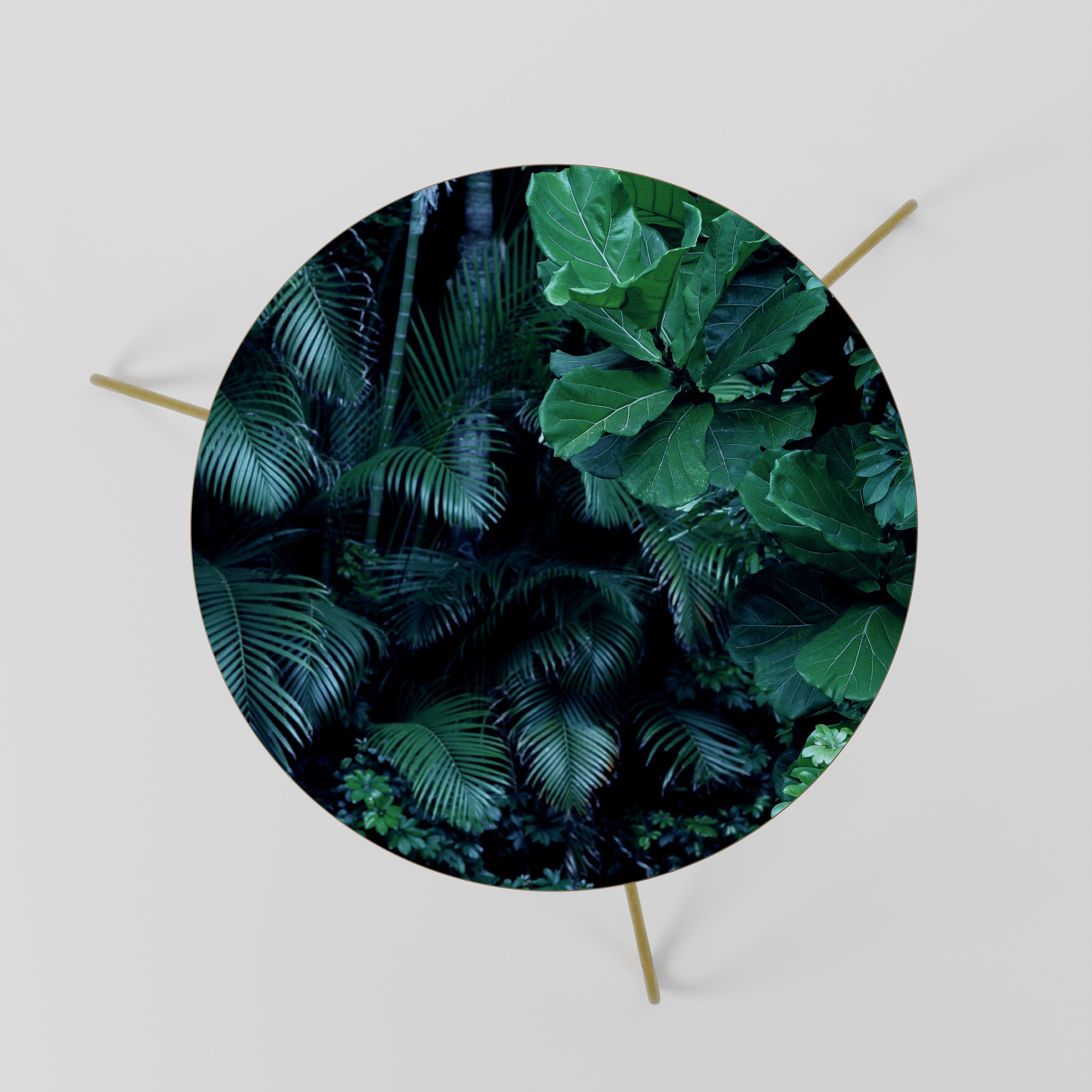 DEEP JUNGLE SERENADE Coffee Table 60