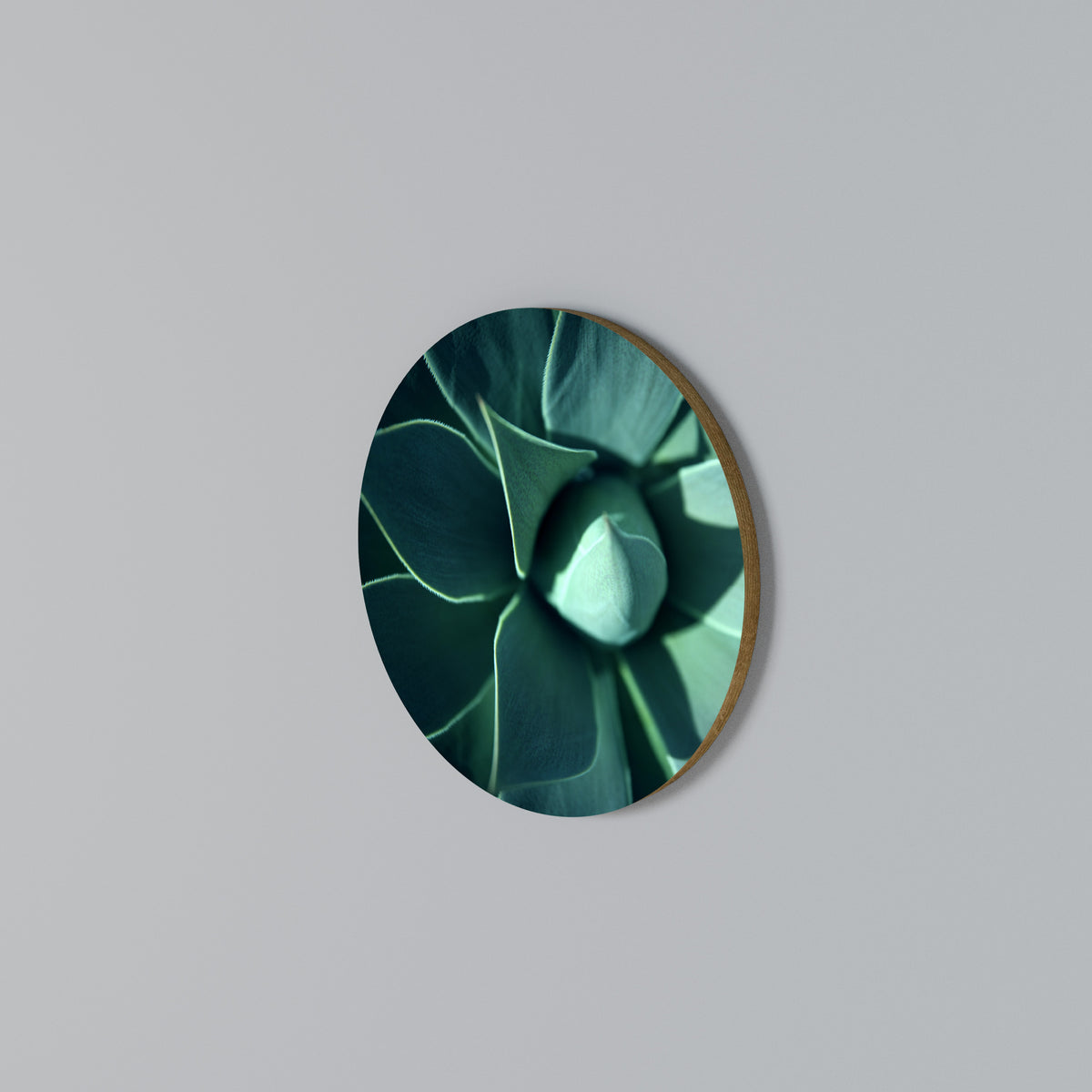 MYSTICAL GREEN WHORL Στρογγυλός πίνακας ζωγραφικής