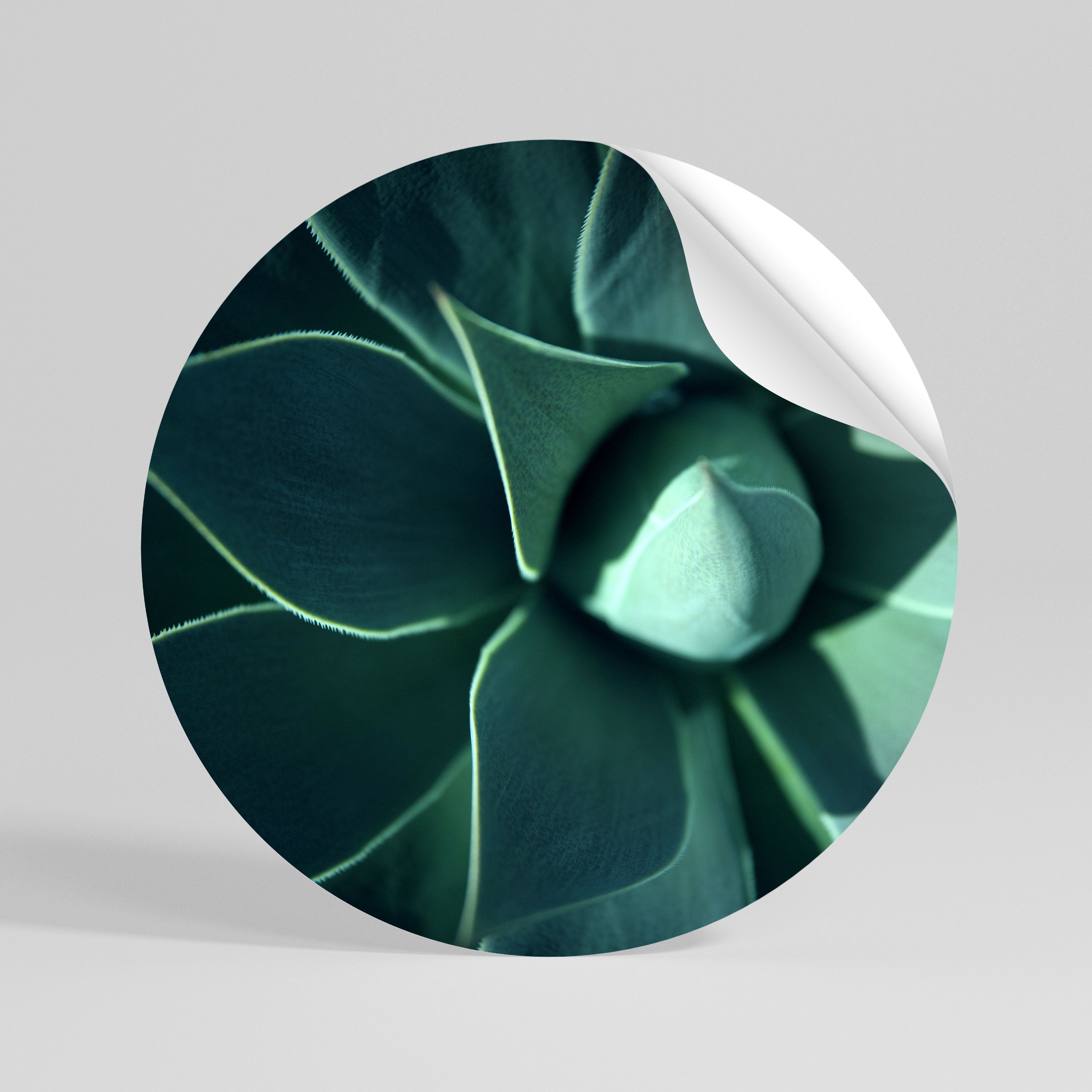 MYSTICAL GREEN WHORL Peel and Stick Round Sticker