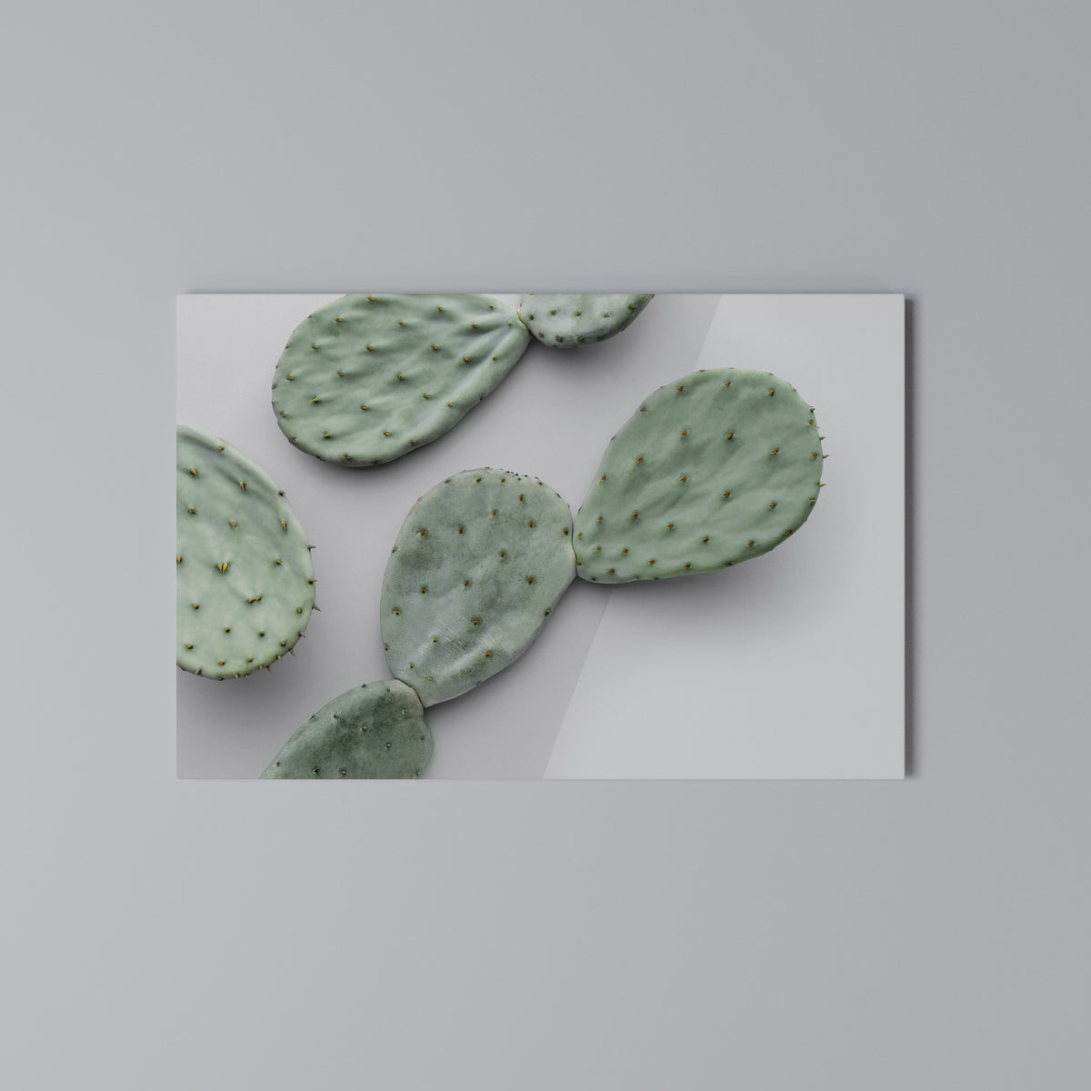 CACTUS DREAMSCAPE Horizontal Canvas Print