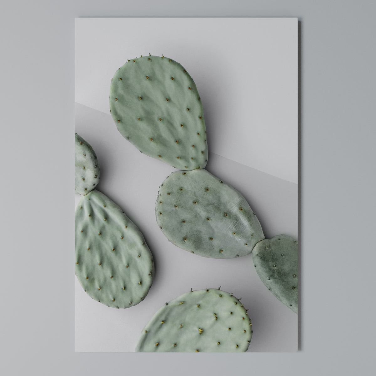 CACTUS DREAMSCAPE Κατακόρυφος Πίνακας σε Καμβά