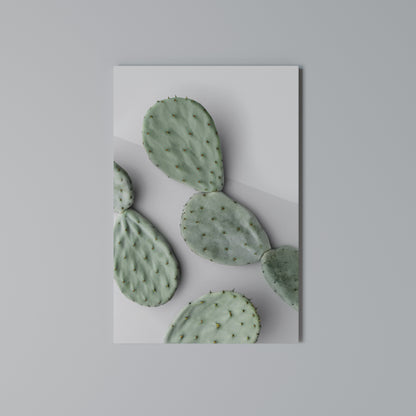 CACTUS DREAMSCAPE Κατακόρυφος Πίνακας σε Καμβά
