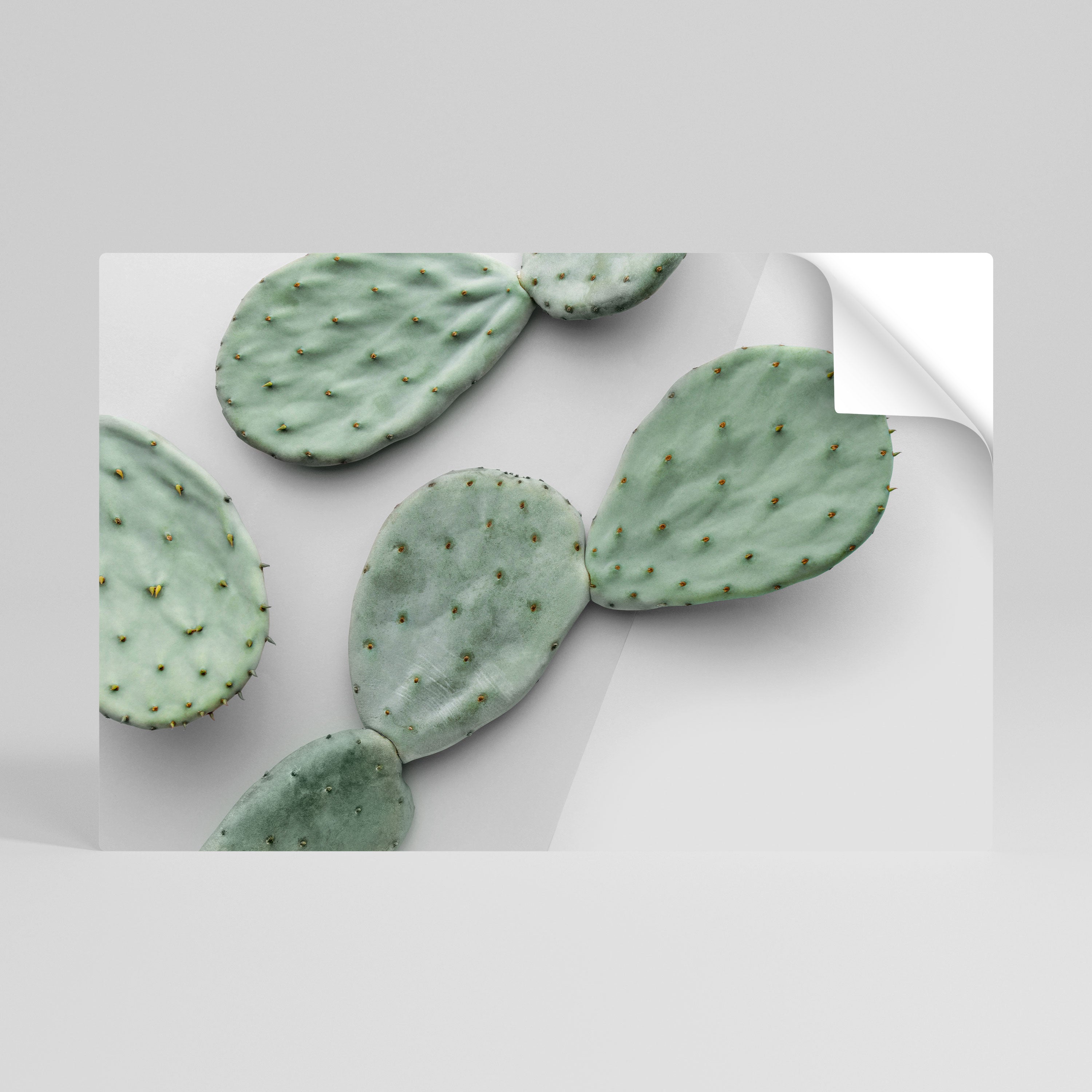 CACTUS DREAMSCAPE Peel and Stick Horizontal Poster