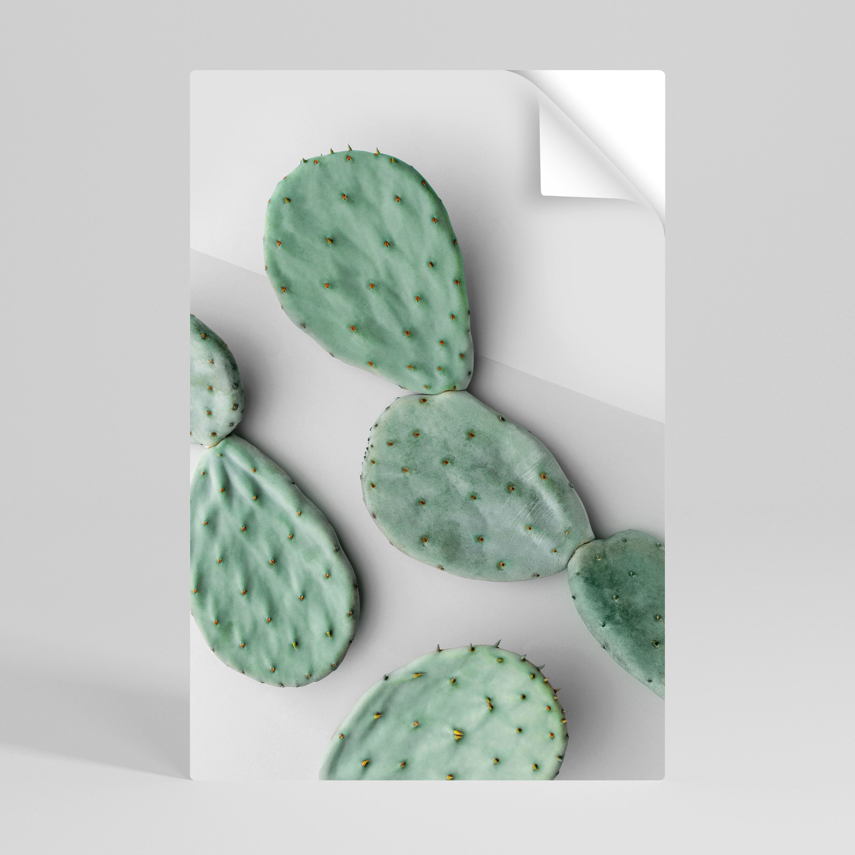 Αφίσα CACTUS DREAMSCAPE με κάθετη κόλλα και κολλήματα
