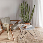 SILKEN SERENITY Coffee Table