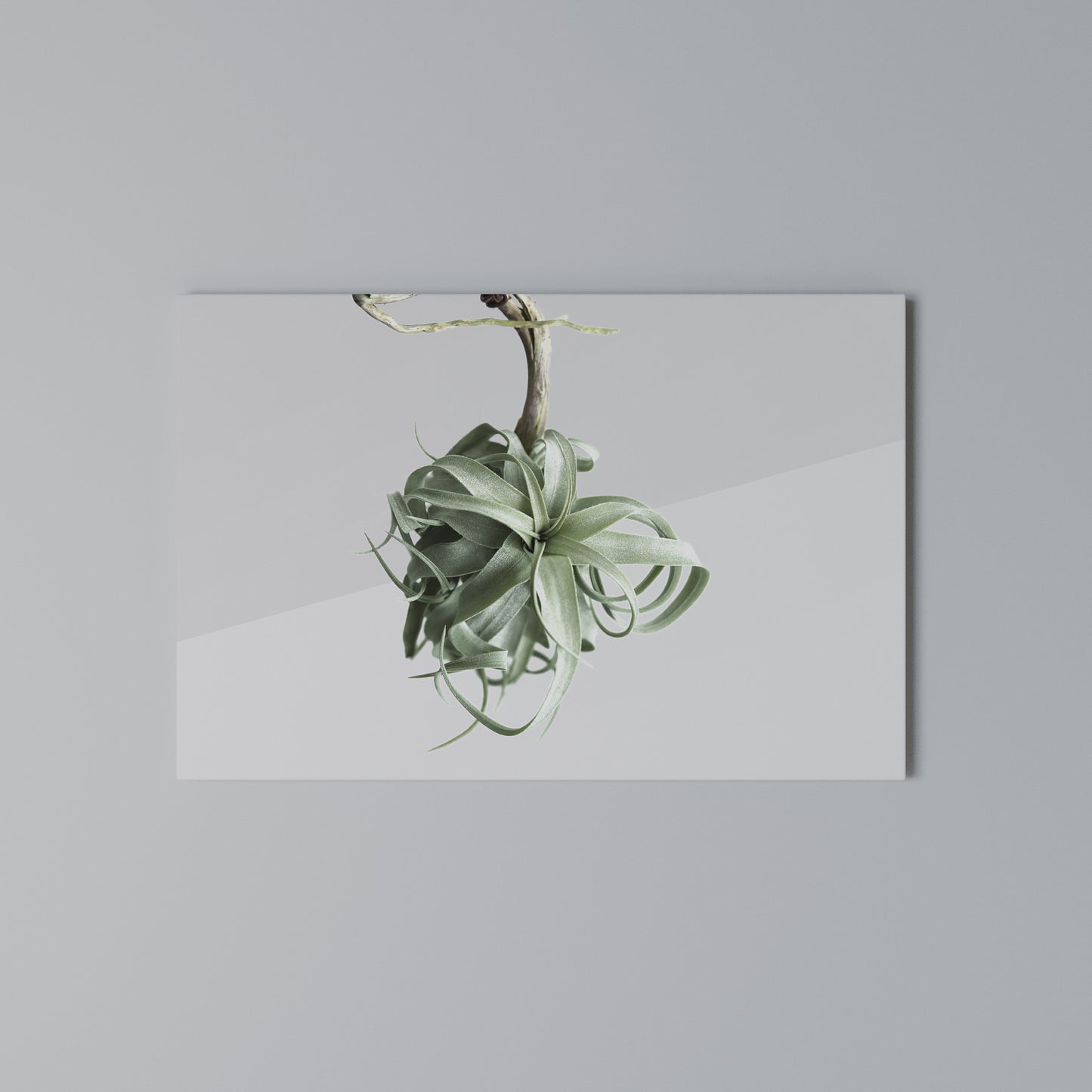 TANGLE OF NATURE Horizontal Canvas Print