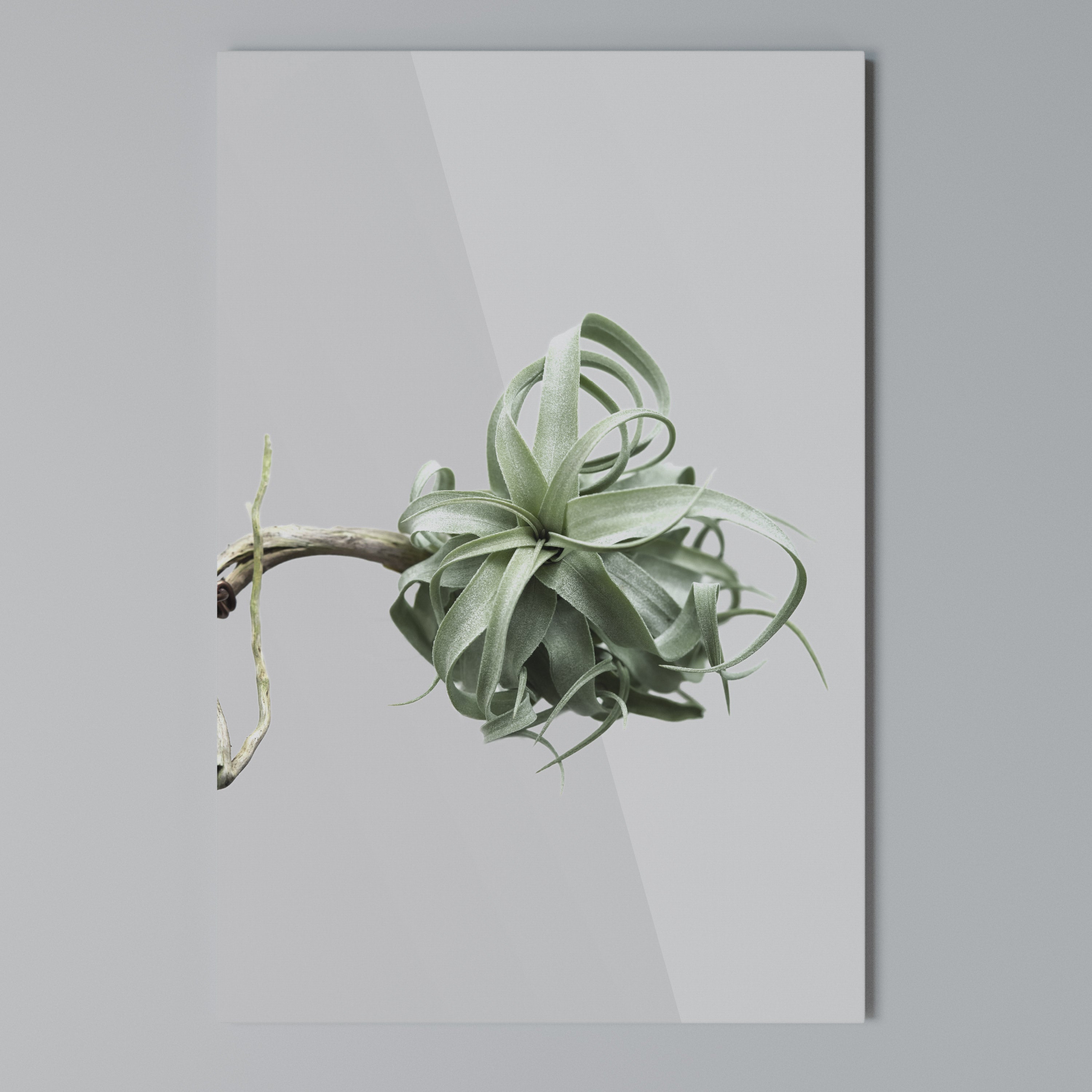 TANGLE OF NATURE Κατακόρυφος Πίνακας σε Καμβά