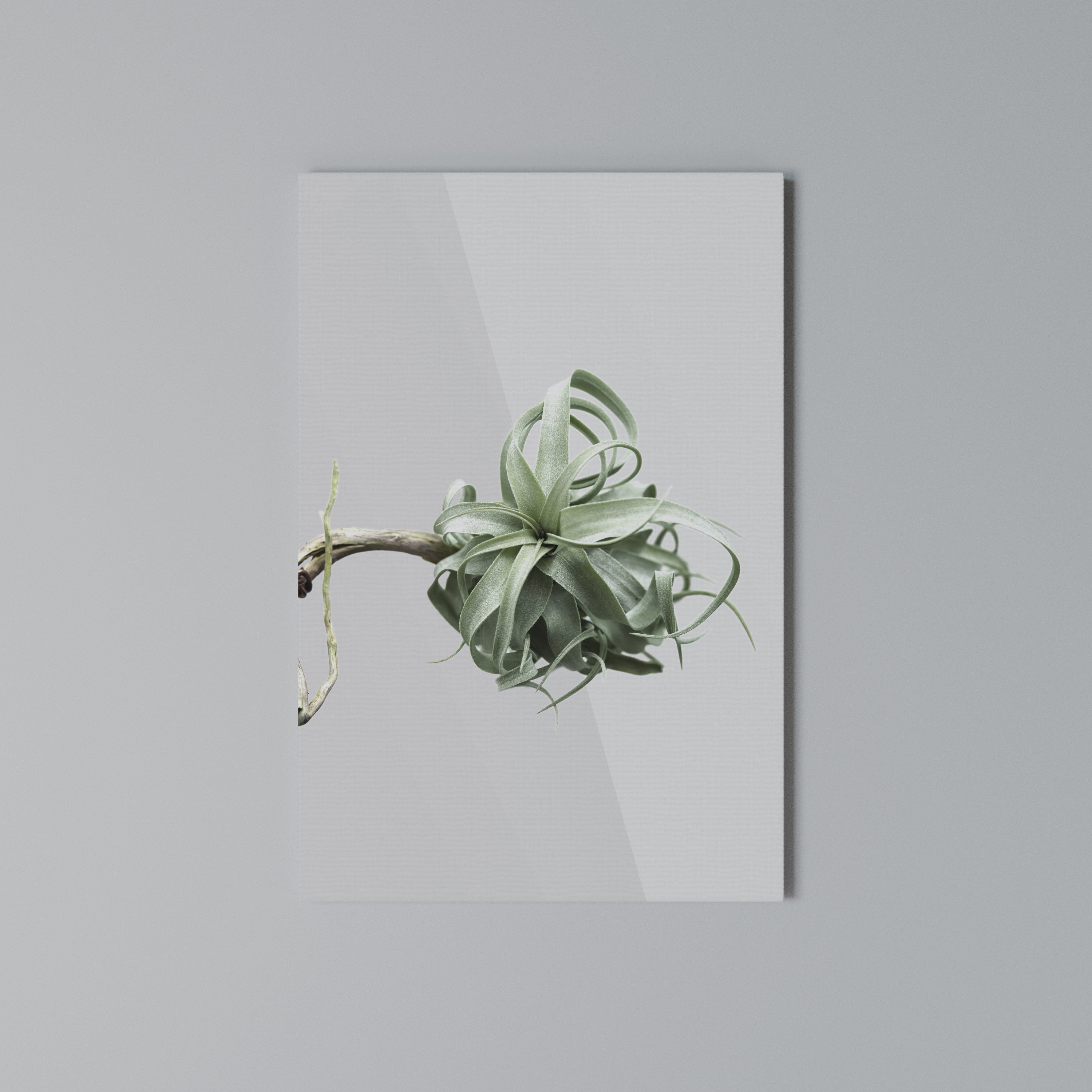 TANGLE OF NATURE Κατακόρυφος Πίνακας σε Καμβά