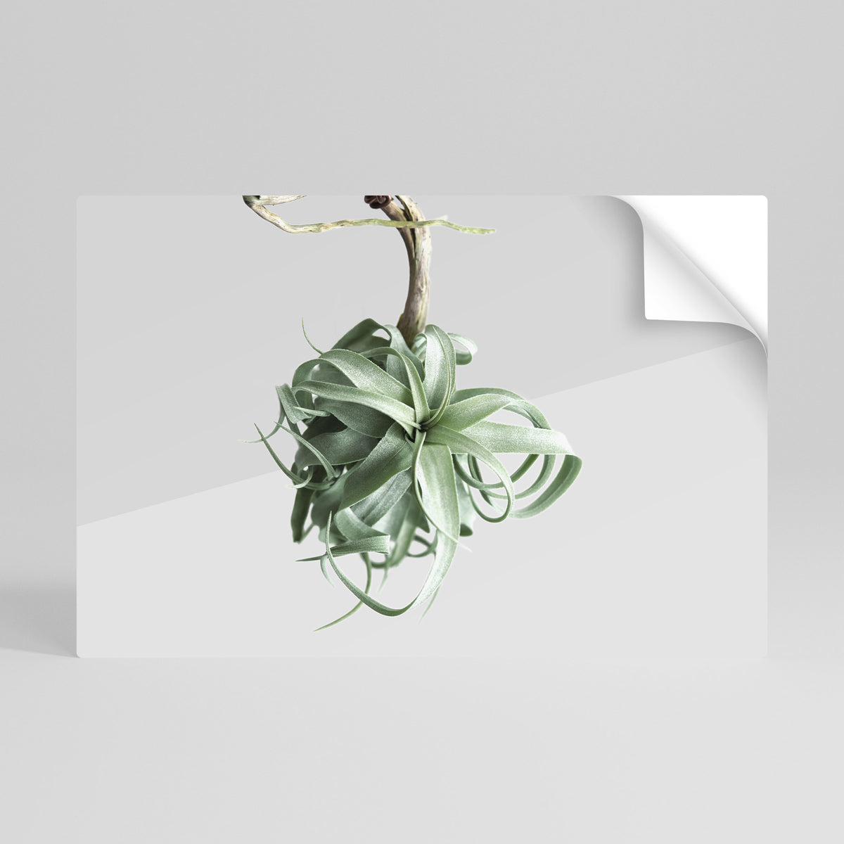 TANGLE OF NATURE Peel and Stick Horizontal Poster