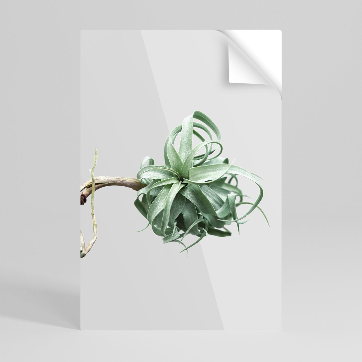 TANGLE OF NATURE Αυτοκόλλητη Αφίσα κάθετη