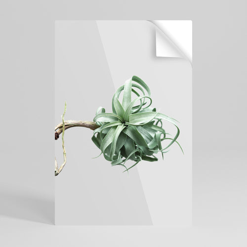 TANGLE OF NATURE Peel and Stick Vertical Poster