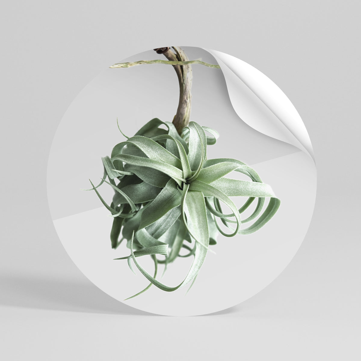 TANGLE OF NATURE Αυτοκόλλητη Αφίσα στρογγυλή