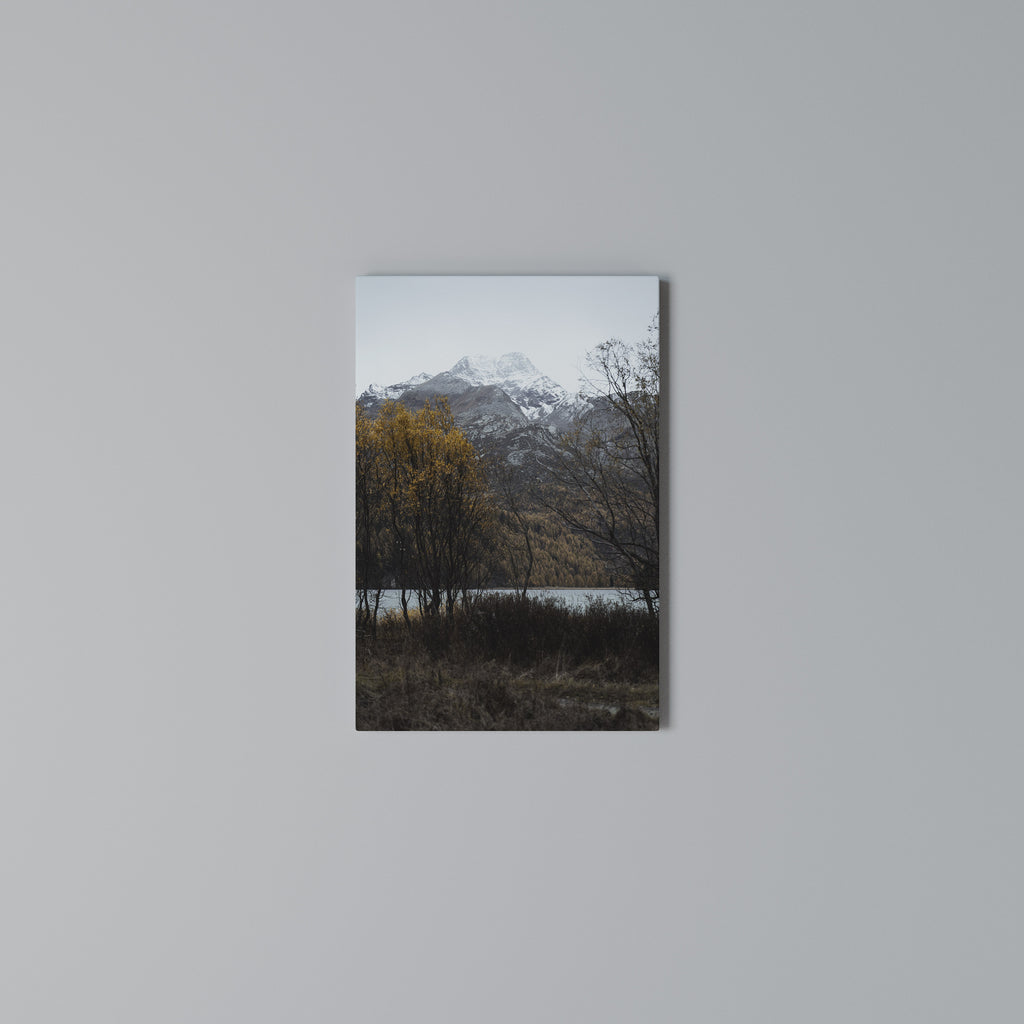 AUTUMN'S SILENT EMBRACE Vertical Canvas Print