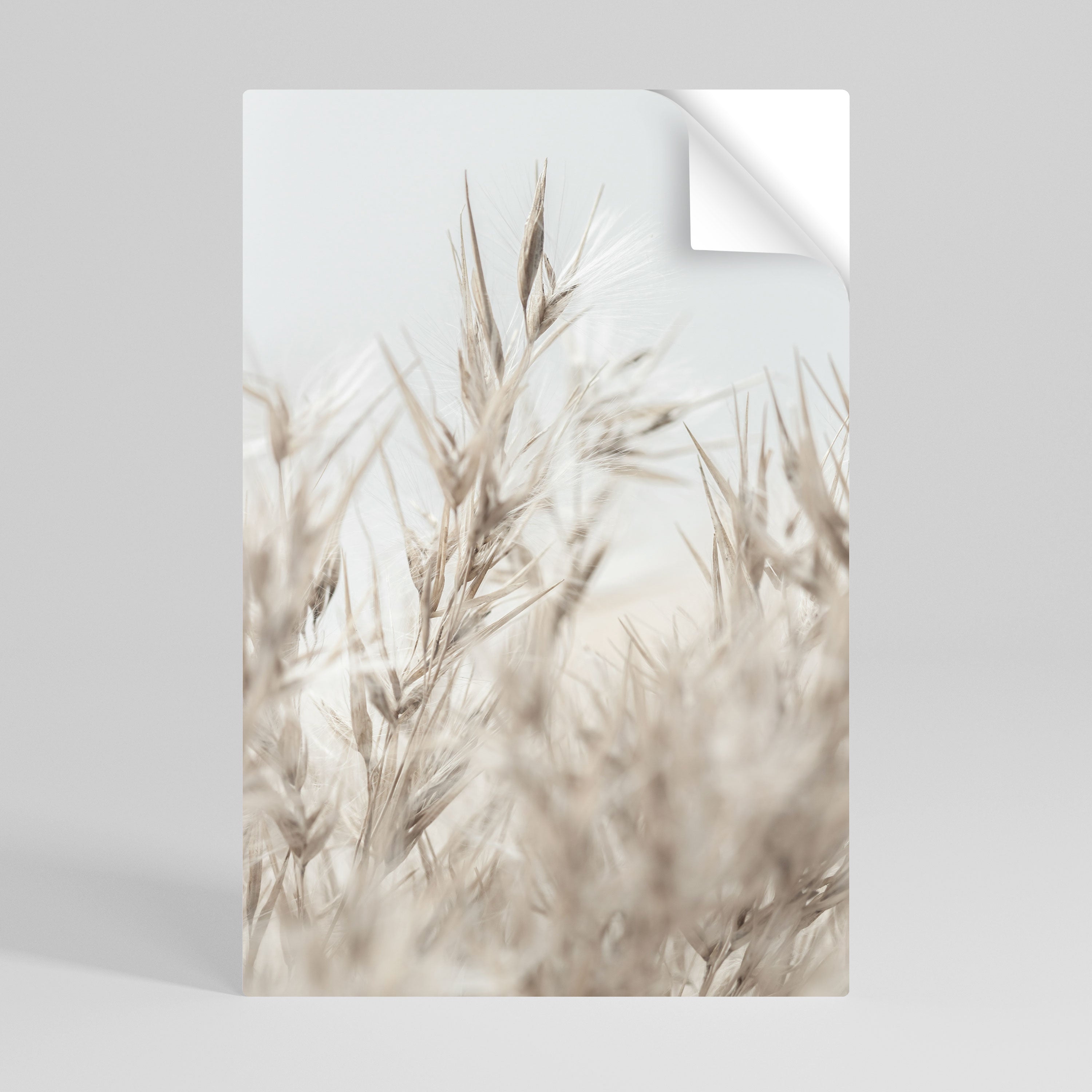 Αφίσα με κάθετη σχεδίαση "TARQUIL GRASSES" με θέμα "Peel and Stick"
