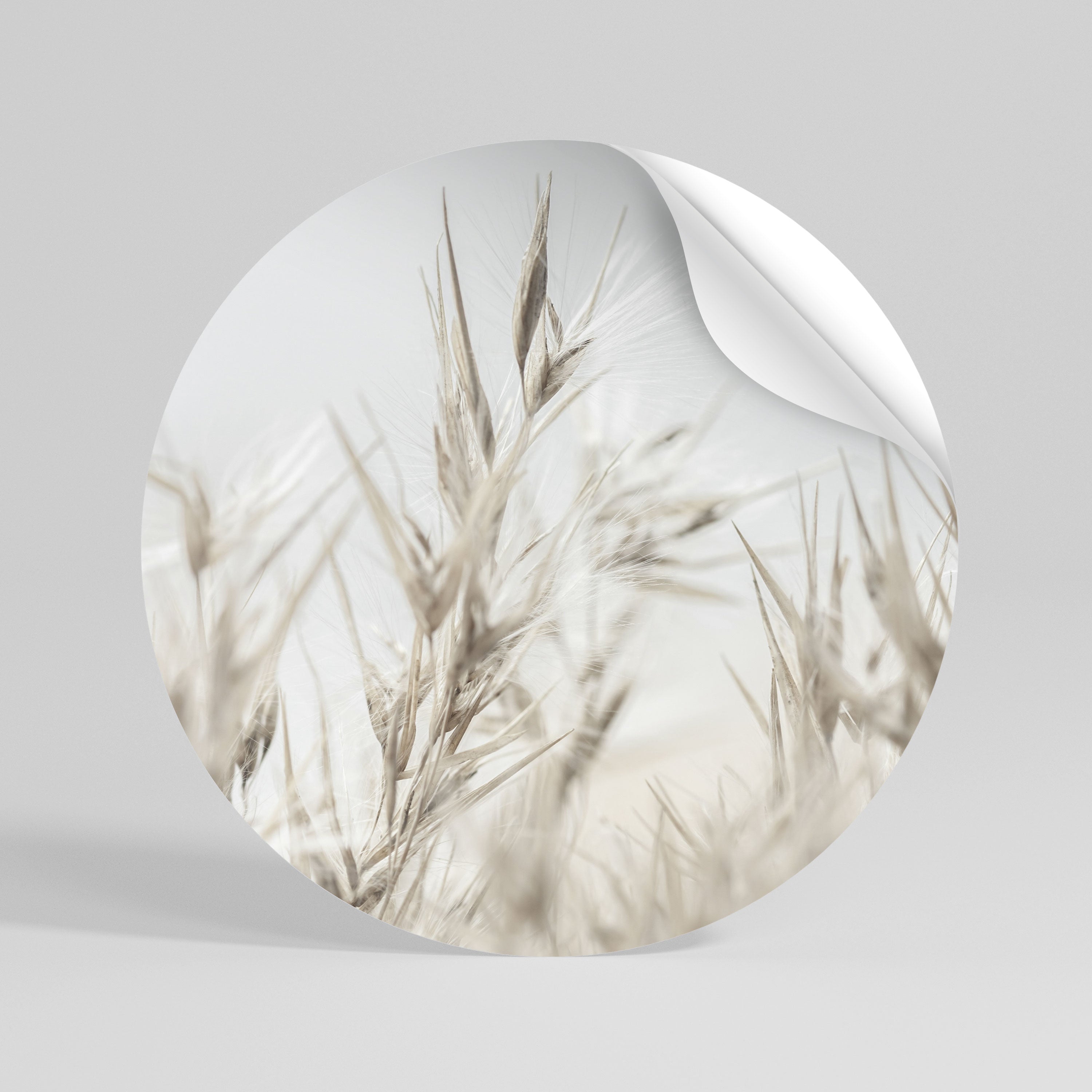 TRANQUIL GRASSES Peel and Stick Round Sticker