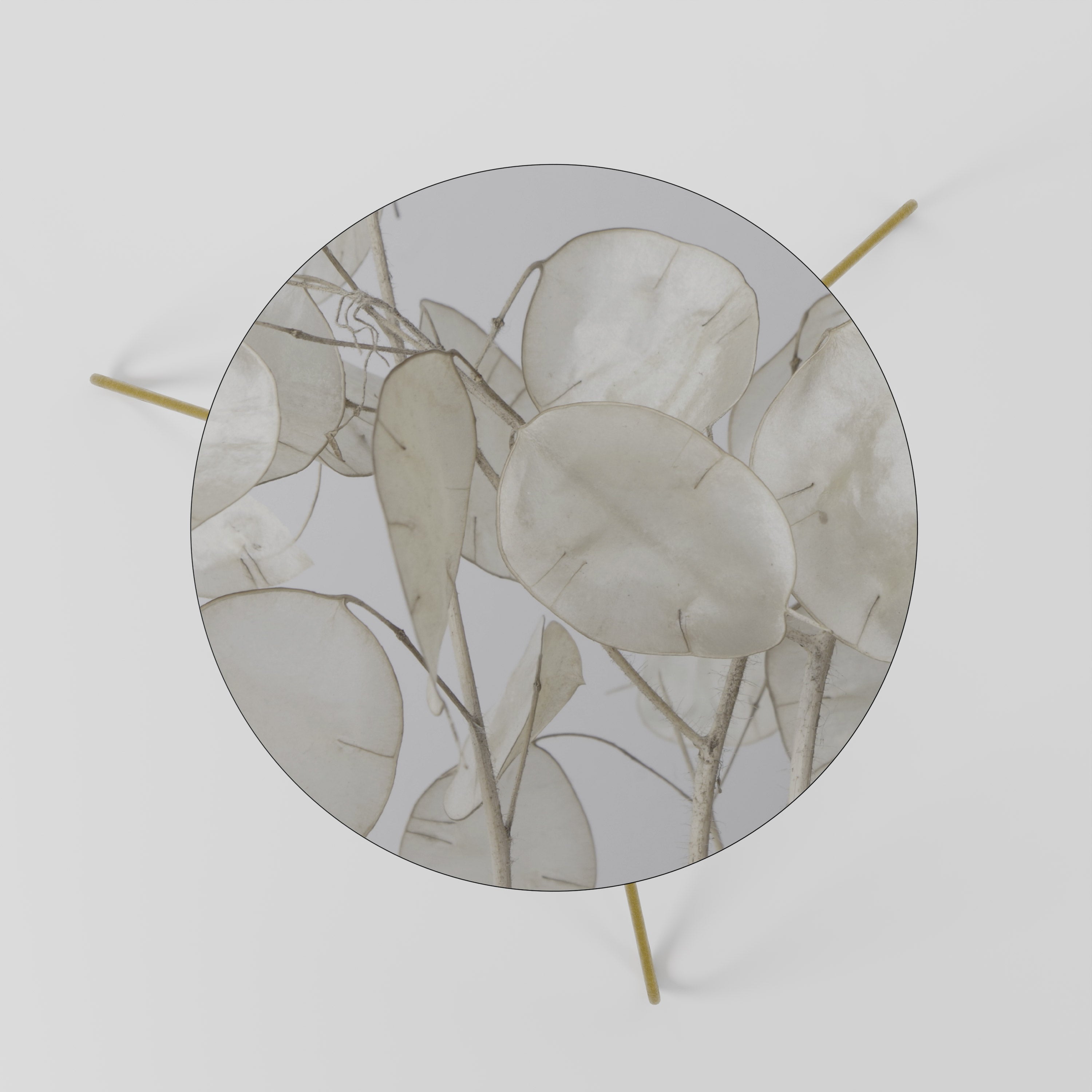 SILKY FOLIAGE WHISPERS Coffee Table 60