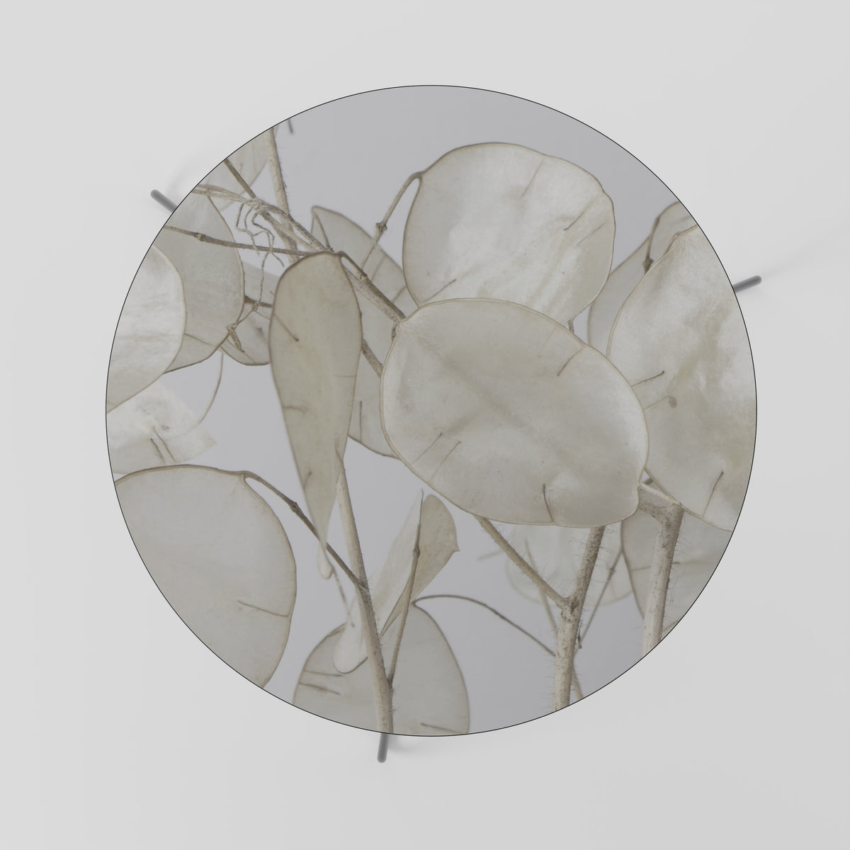 SILKY FOLIAGE WHISPERS Τραπεζάκι σαλονιού