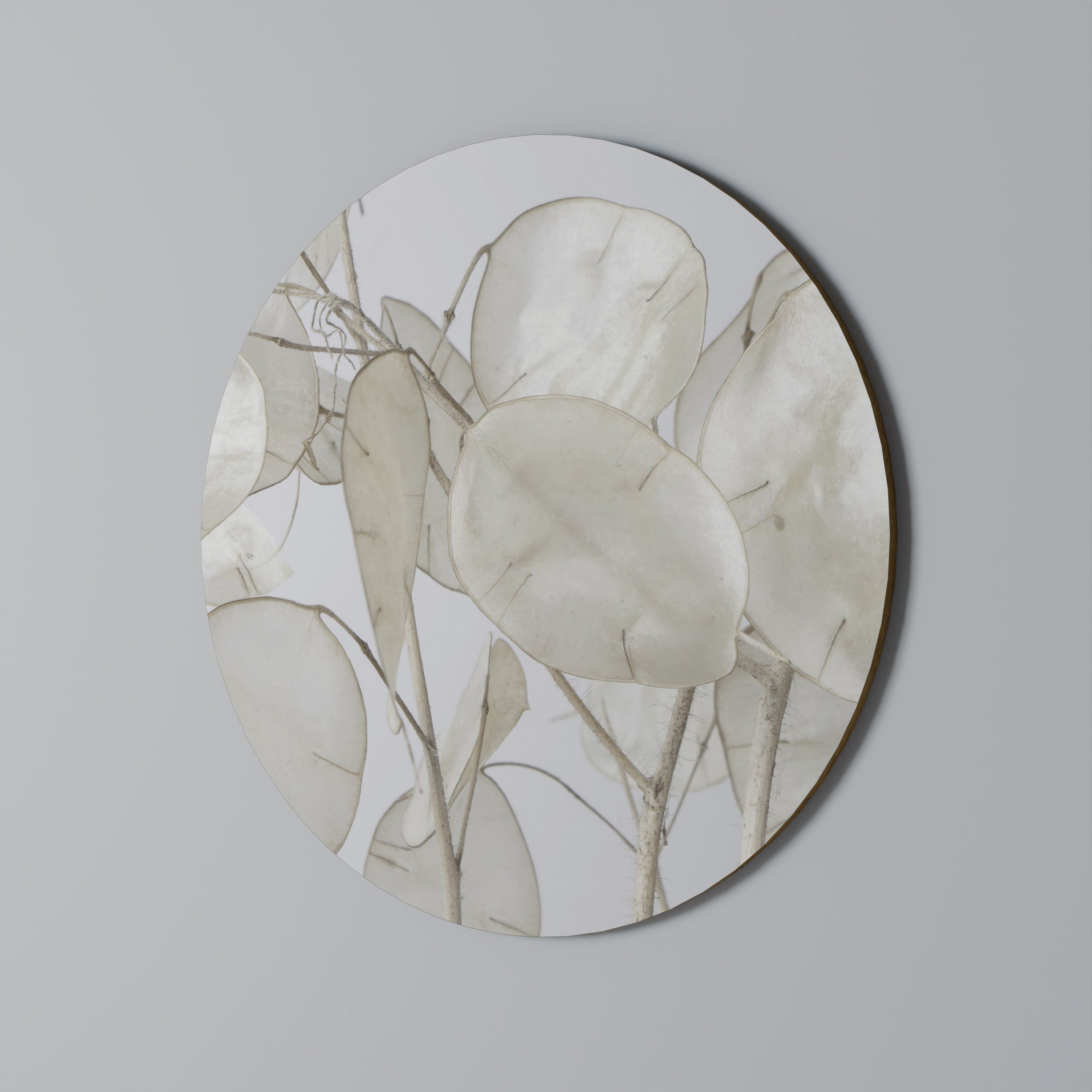 Στρογγυλή διακόσμηση τοίχου SILKY FOLIAGE WHISPERS