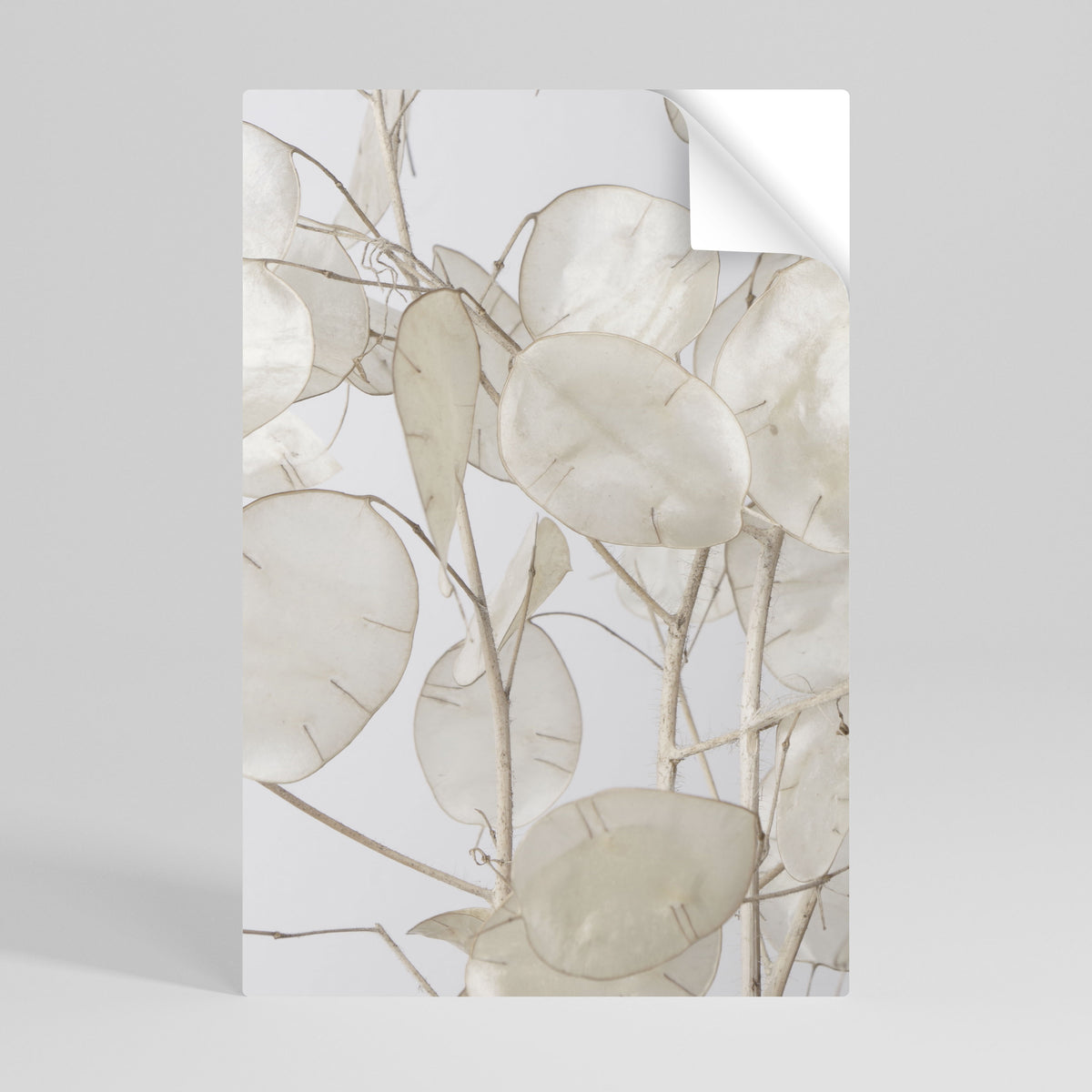 SILKY FOLIAGE WHISPERS Αυτοκόλλητη Αφίσα κάθετη