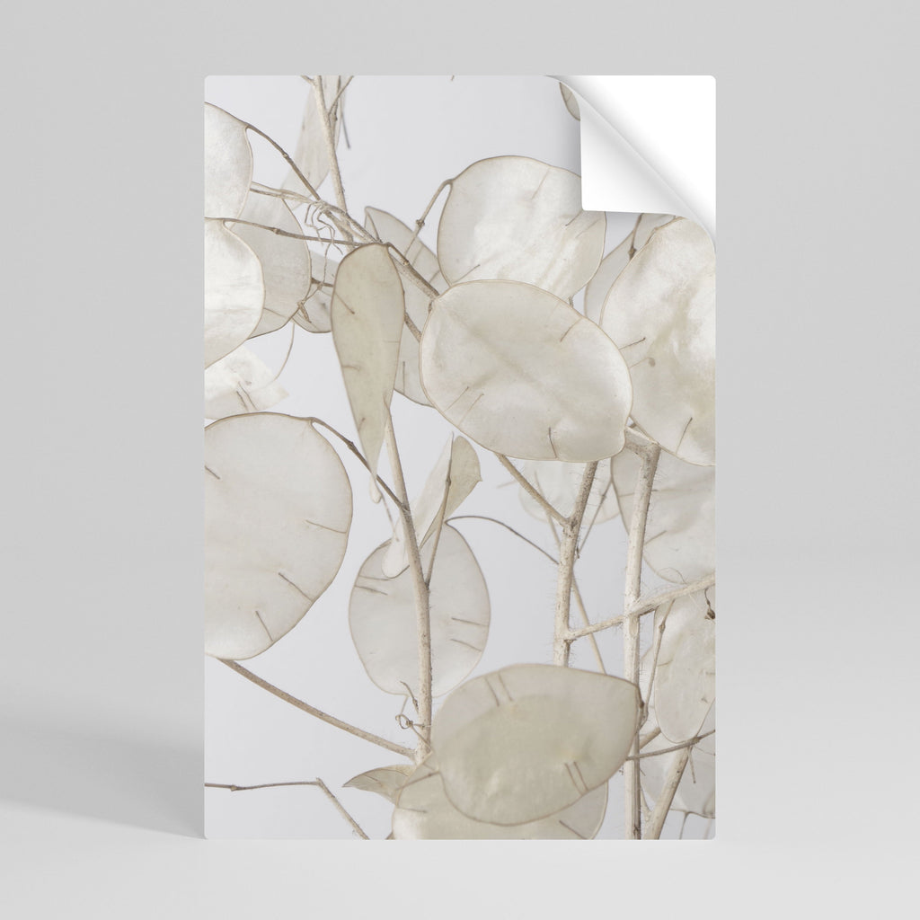 SILKY FOLIAGE WHISPERS Αφίσα με δυνατότητα ξεφλουδίσματος και κολλήματος