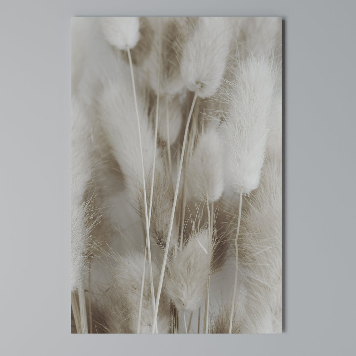 SOFTNESS IN FOCUS Vertical Canvas Print