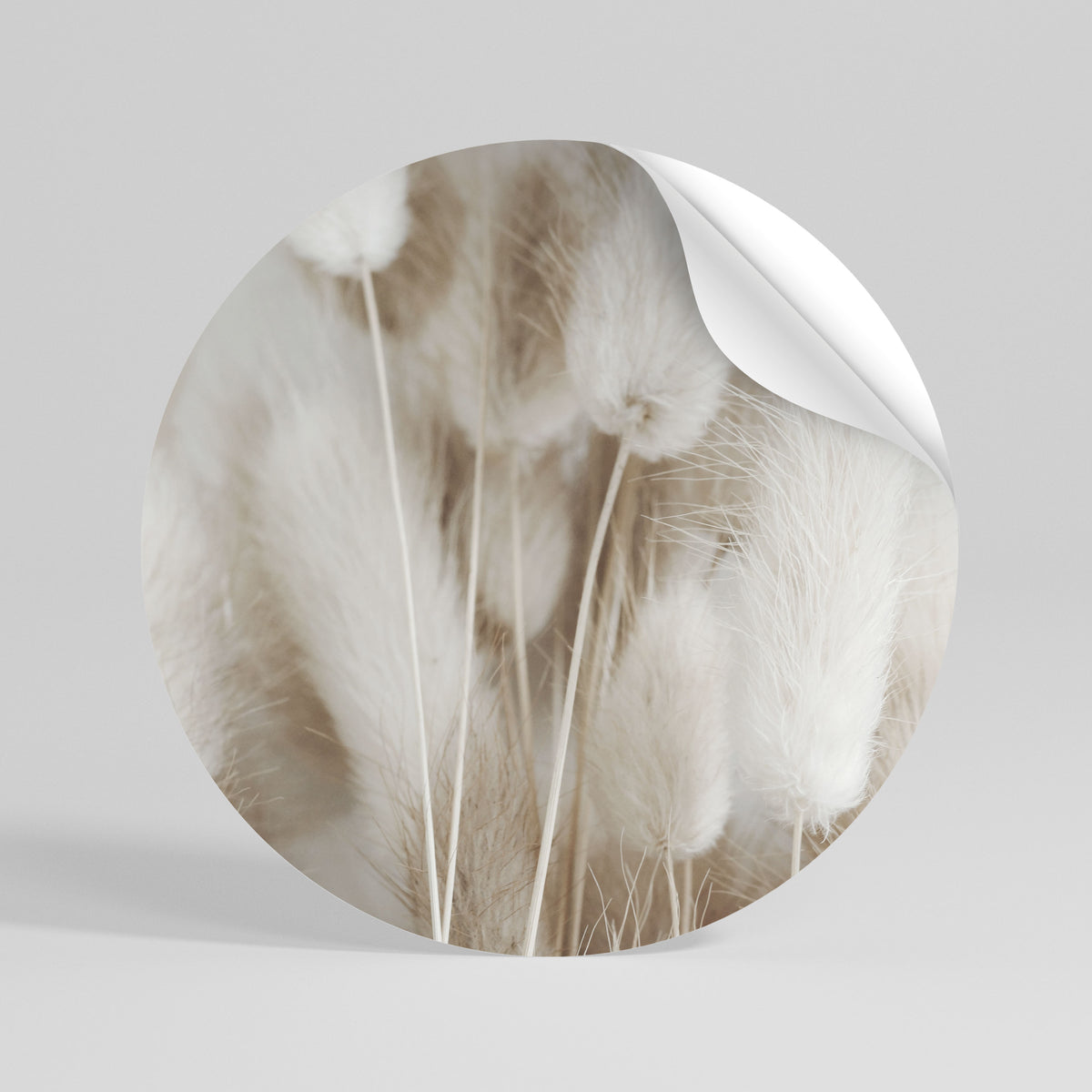 SOFTNESS IN FOCUS Αυτοκόλλητη Αφίσα στρογγυλή