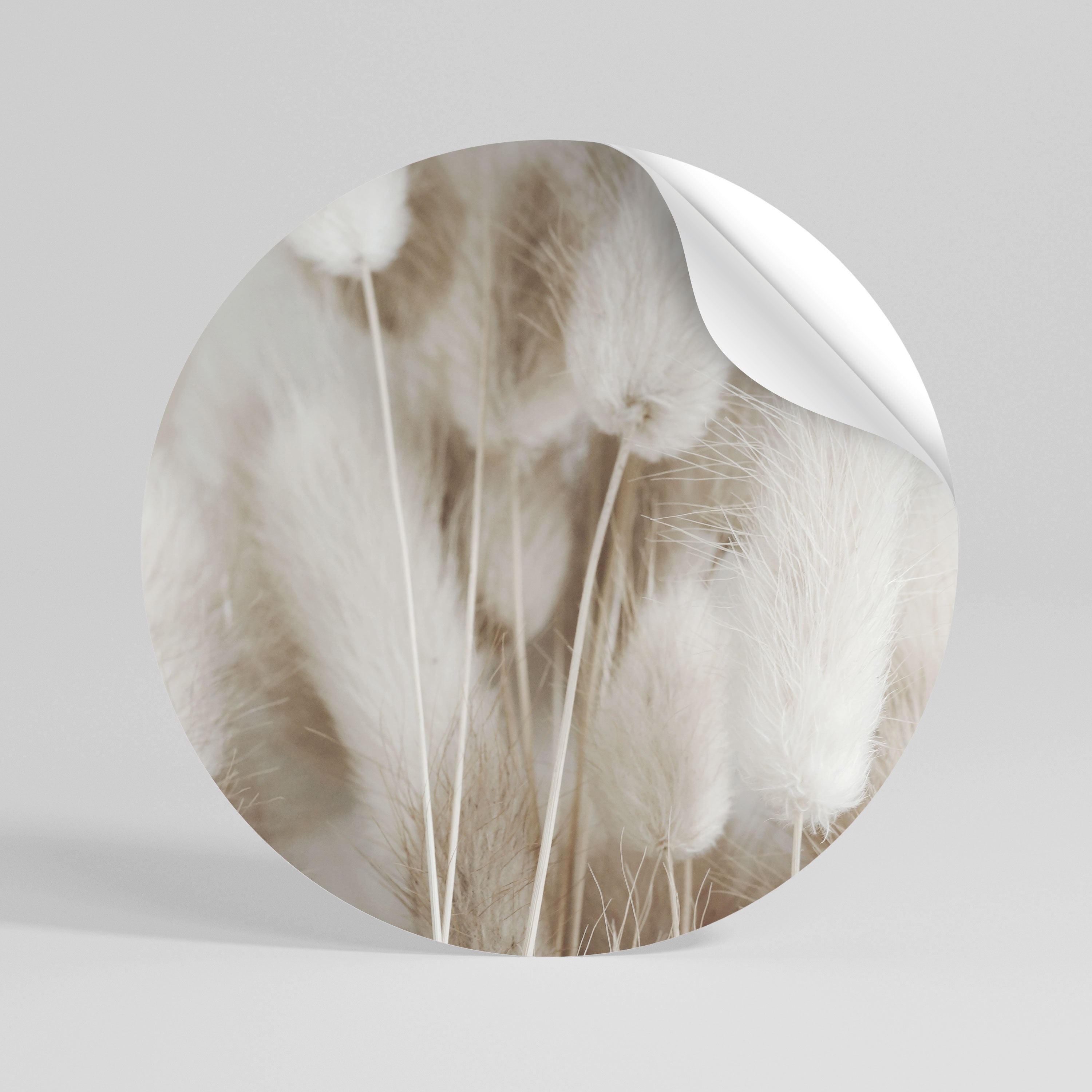 SOFTNESS IN FOCUS Peel and Stick Round Sticker