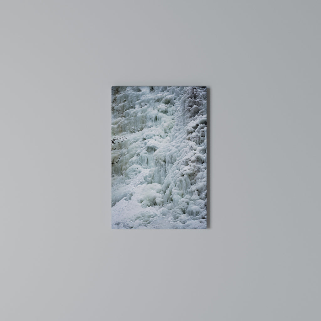 FROSTED WHISPERS Κατακόρυφος Πίνακας σε Καμβά