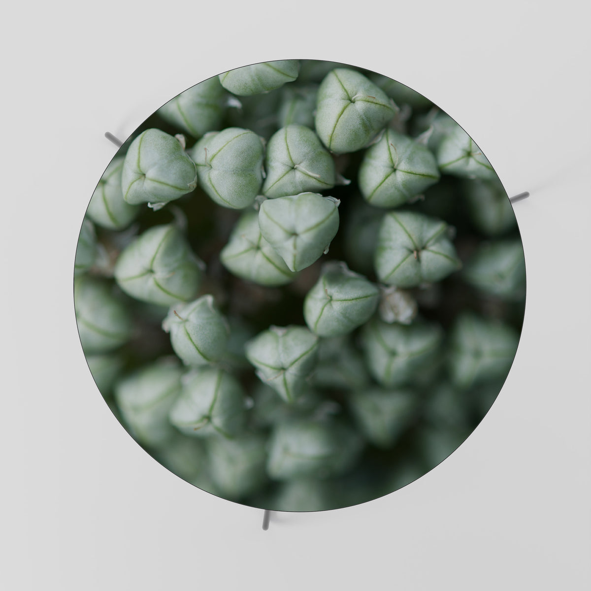 TEXTURED GREEN TIDBITS Τραπεζάκι σαλονιού