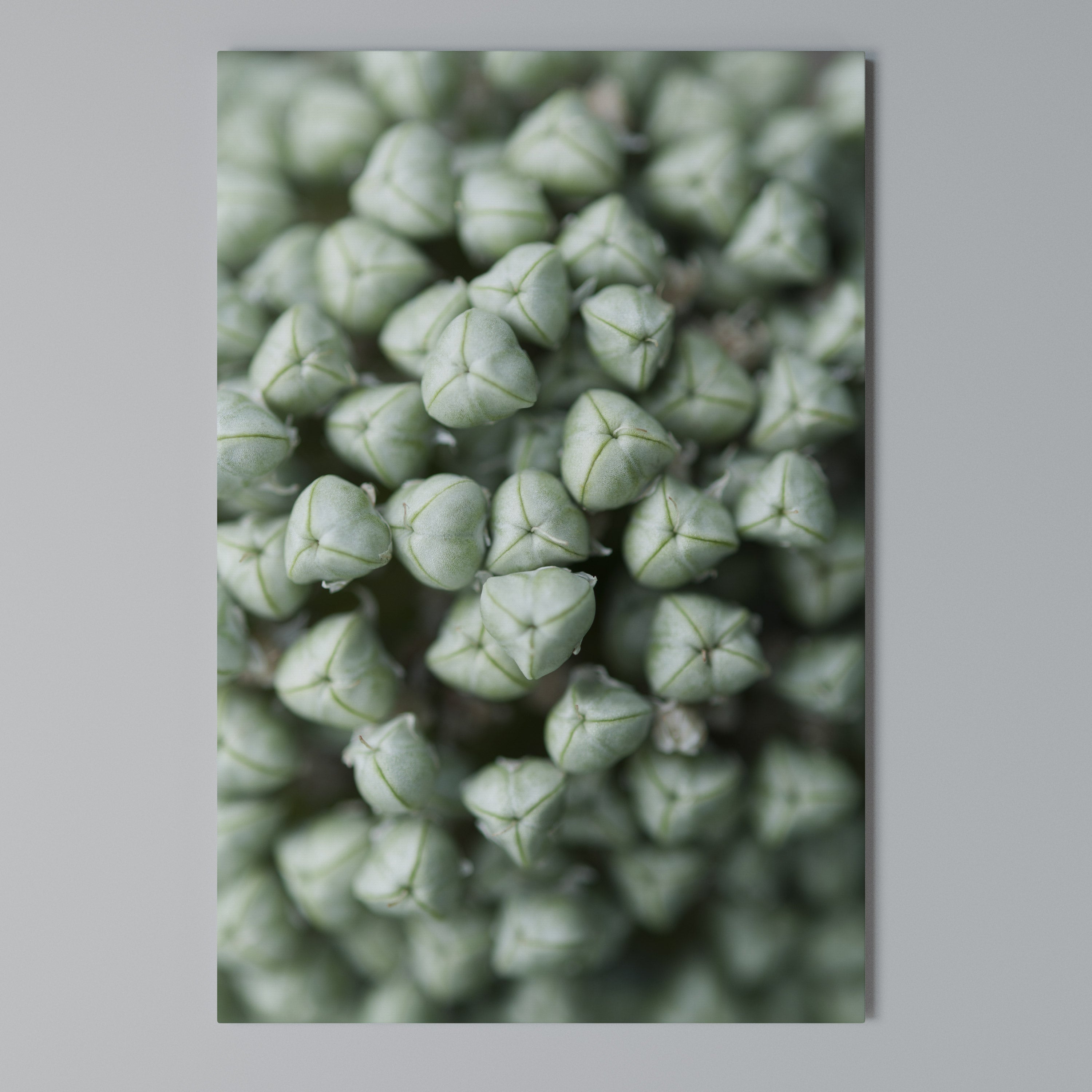 TEXTURED GREEN TIDBITS Κατακόρυφος Πίνακας σε Καμβά