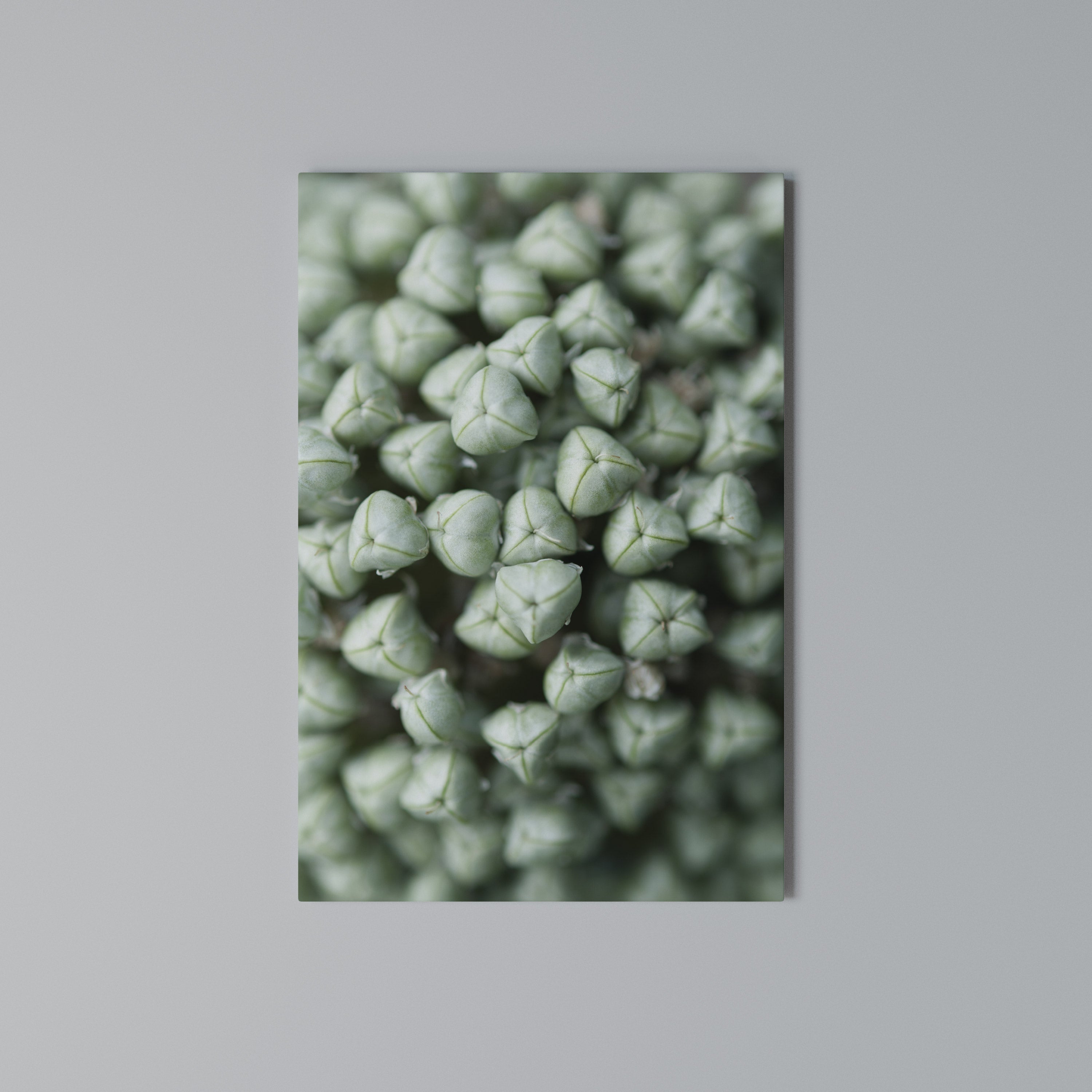 TEXTURED GREEN TIDBITS Κατακόρυφος Πίνακας σε Καμβά