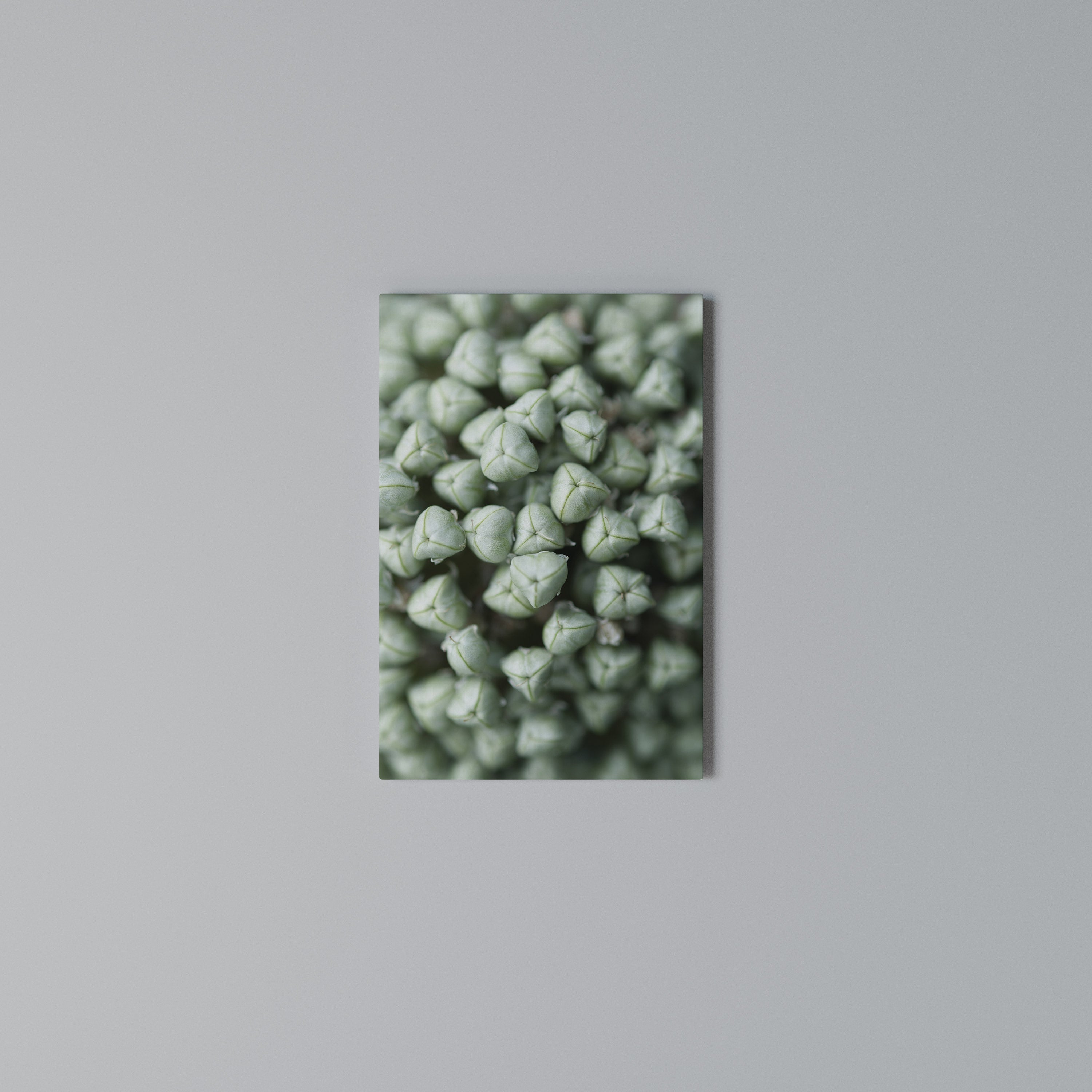 TEXTURED GREEN TIDBITS Κατακόρυφος Πίνακας σε Καμβά