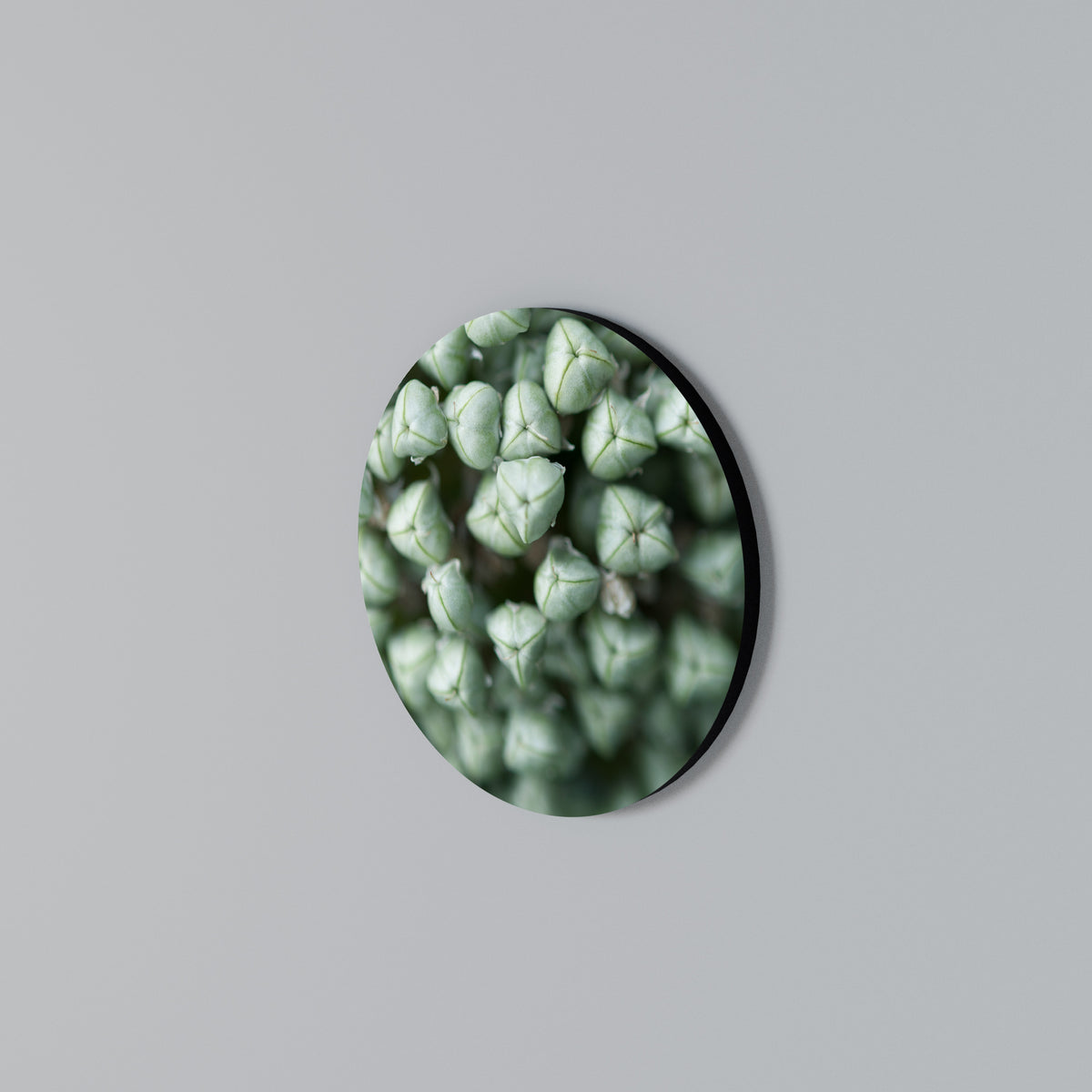 TEXTURED GREEN TIDBITS Στρογγυλός πίνακας ζωγραφικής