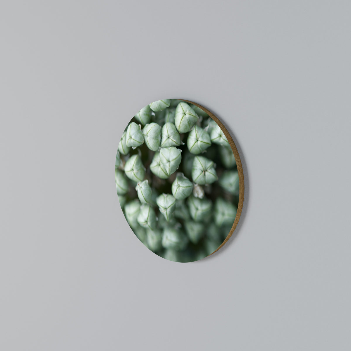 TEXTURED GREEN TIDBITS Στρογγυλός πίνακας ζωγραφικής