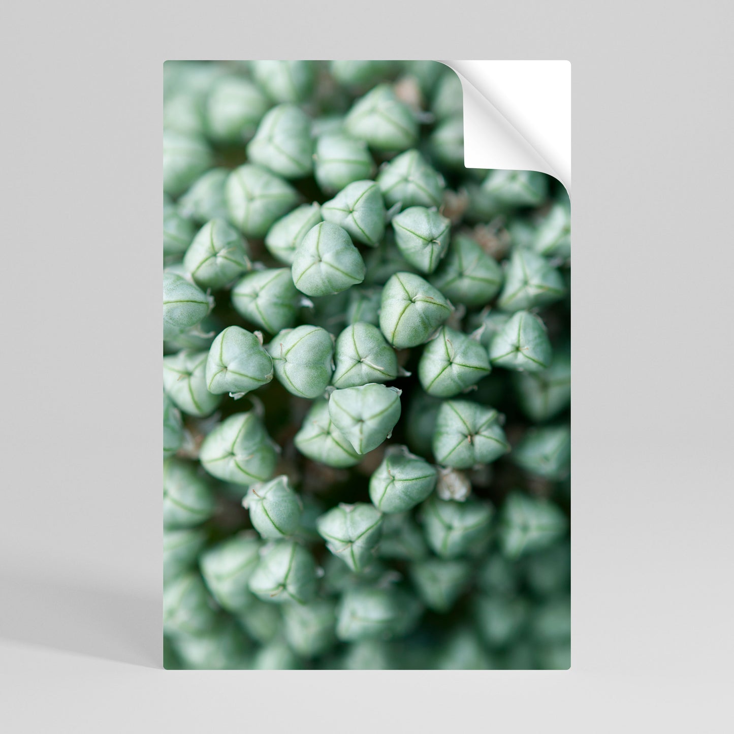 TEXTURED GREEN TIDBITS Αυτοκόλλητη Αφίσα κάθετη
