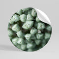 TEXTURED GREEN TIDBITS Peel and Stick Round Sticker
