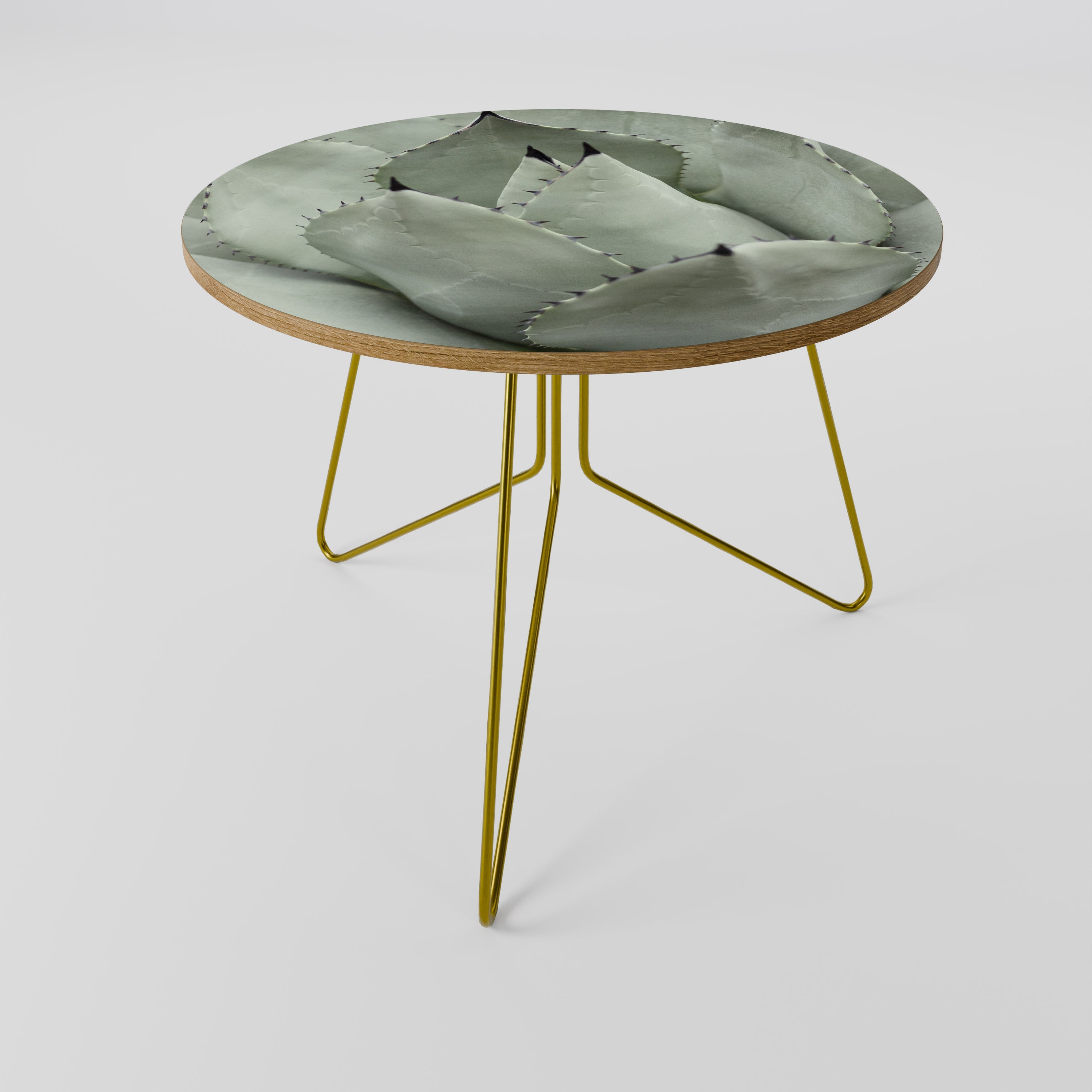MYSTICAL SUCCULENT DREAM Coffee Table 69