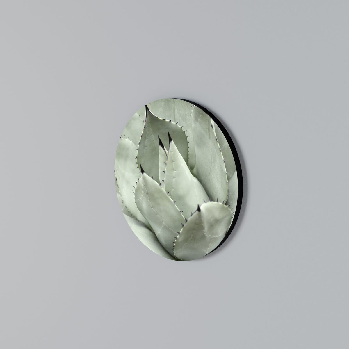 MYSTICAL SUCCULENT DREAM Round Wall Art