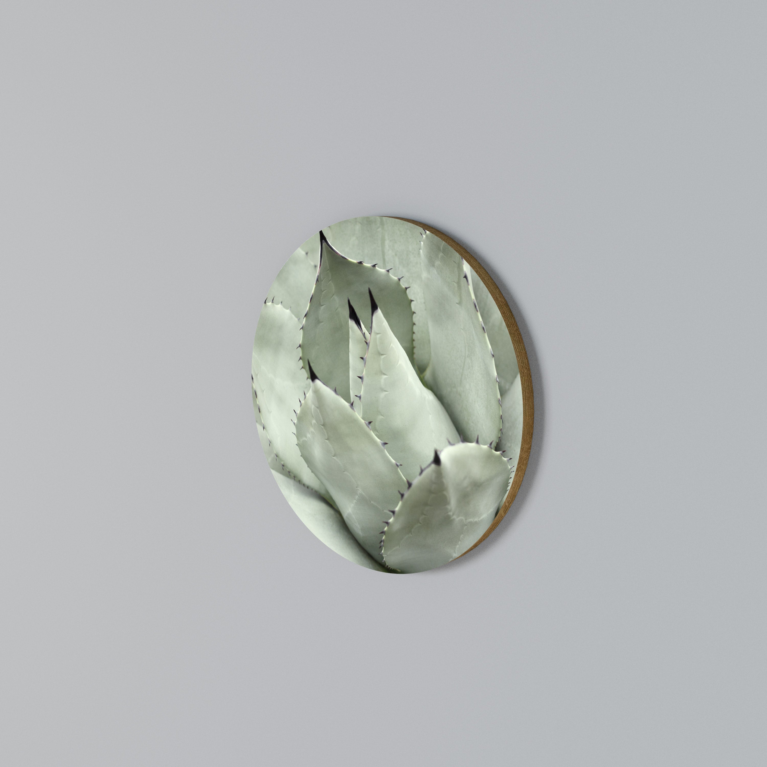 MYSTICAL SUCCULENT DREAM Στρογγυλός πίνακας ζωγραφικής