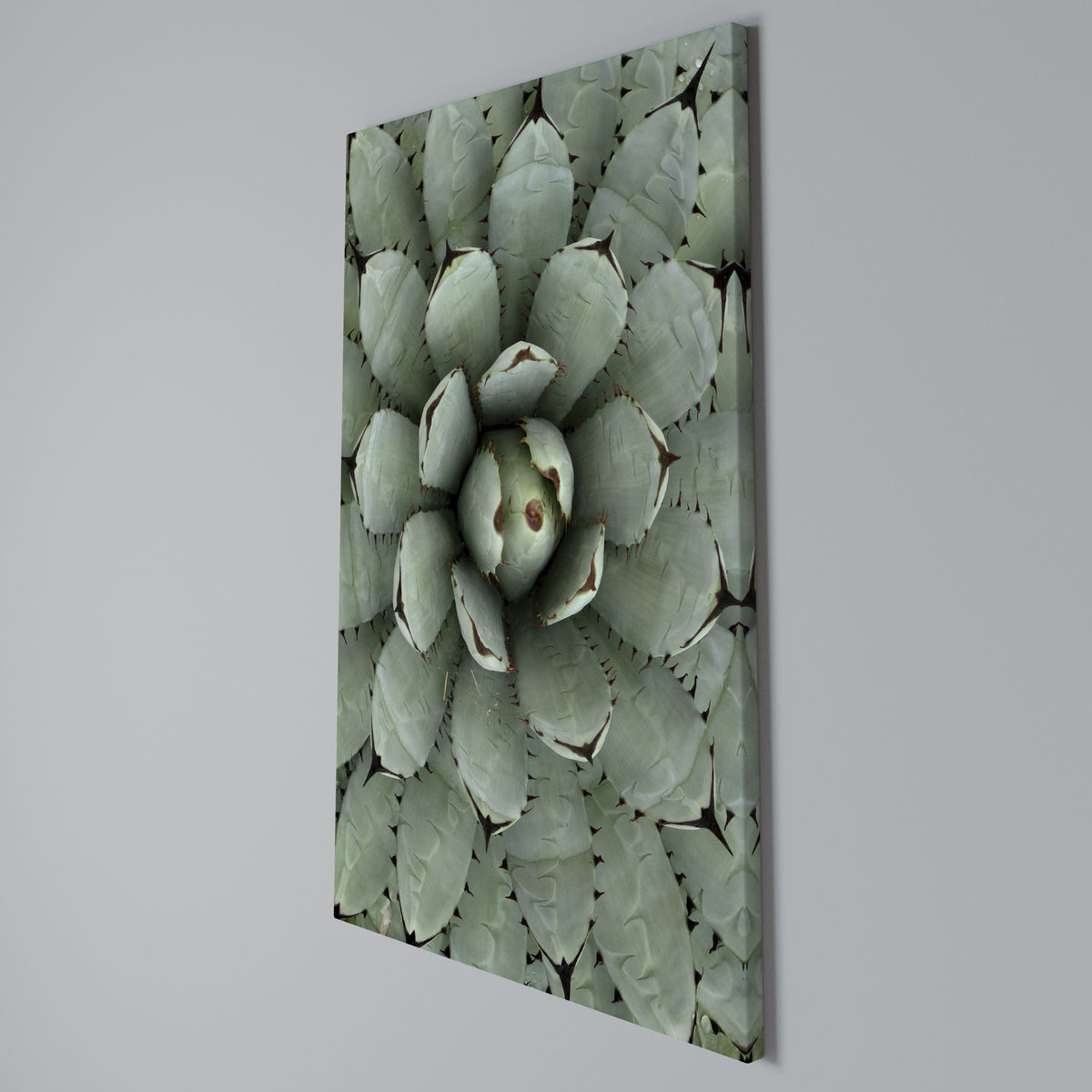 SUCCULENT SYMMETRY Κατακόρυφος Πίνακας σε Καμβά