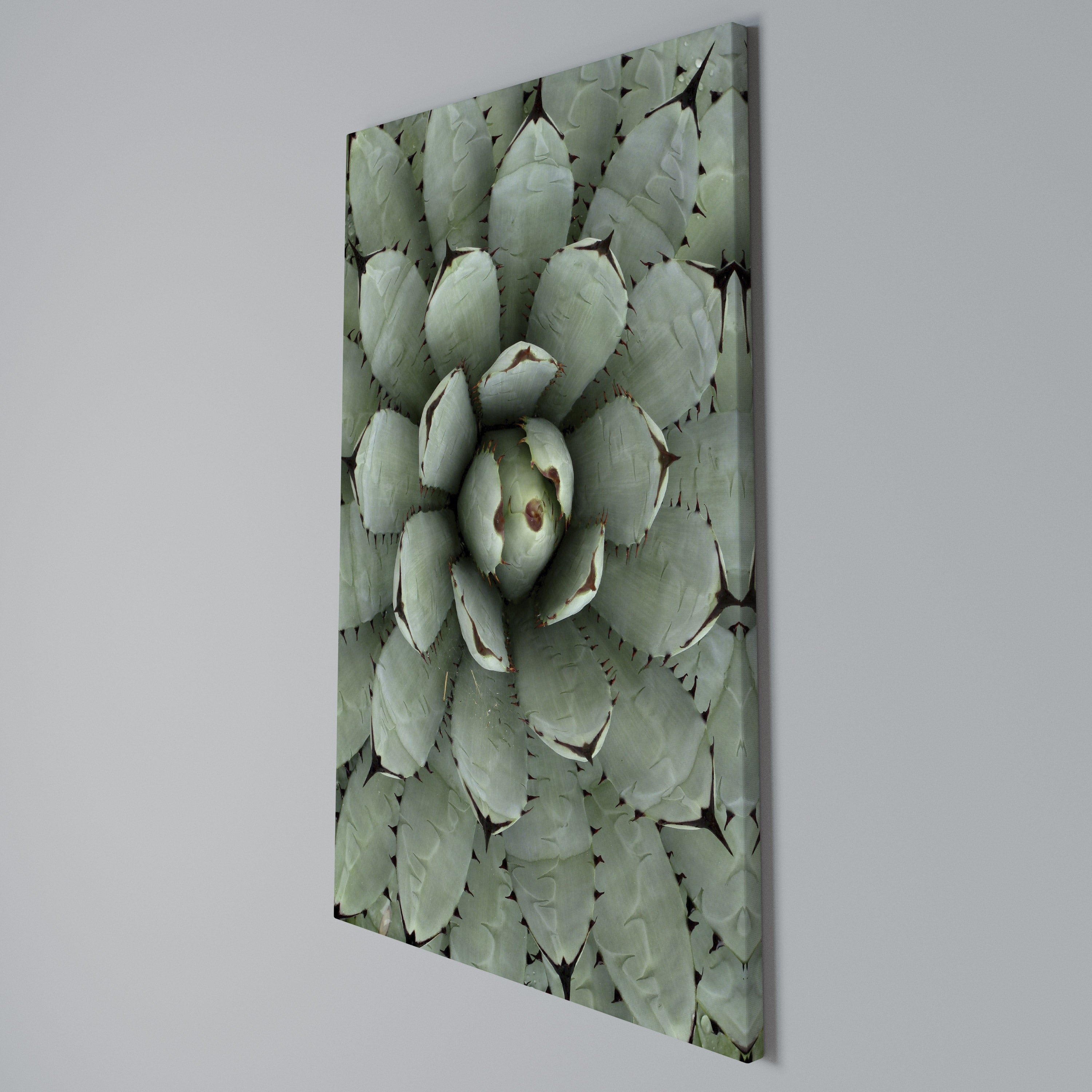 SUCCULENT SYMMETRY Κατακόρυφος Πίνακας σε Καμβά