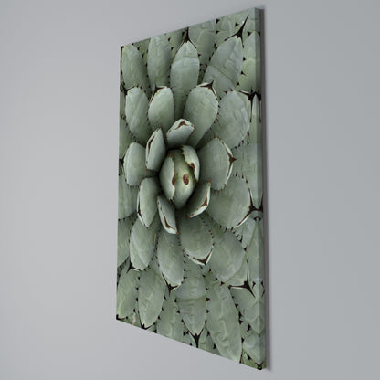 SUCCULENT SYMMETRY Κατακόρυφος Πίνακας σε Καμβά