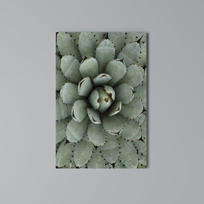 SUCCULENT SYMMETRY Κατακόρυφος Πίνακας σε Καμβά