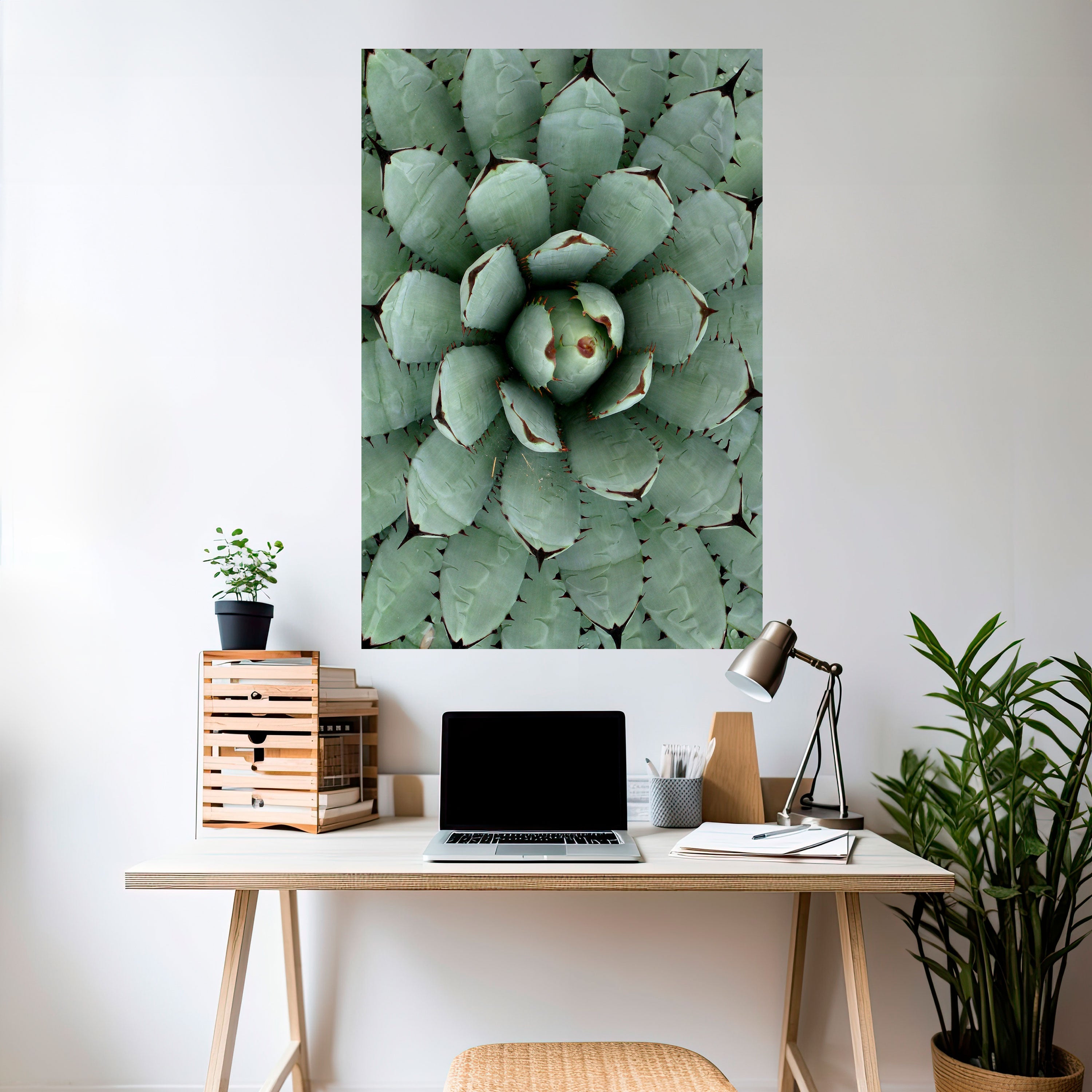 SUCCULENT SYMMETRY Αφίσα με κάθετη κόλλα και κολλήματα
